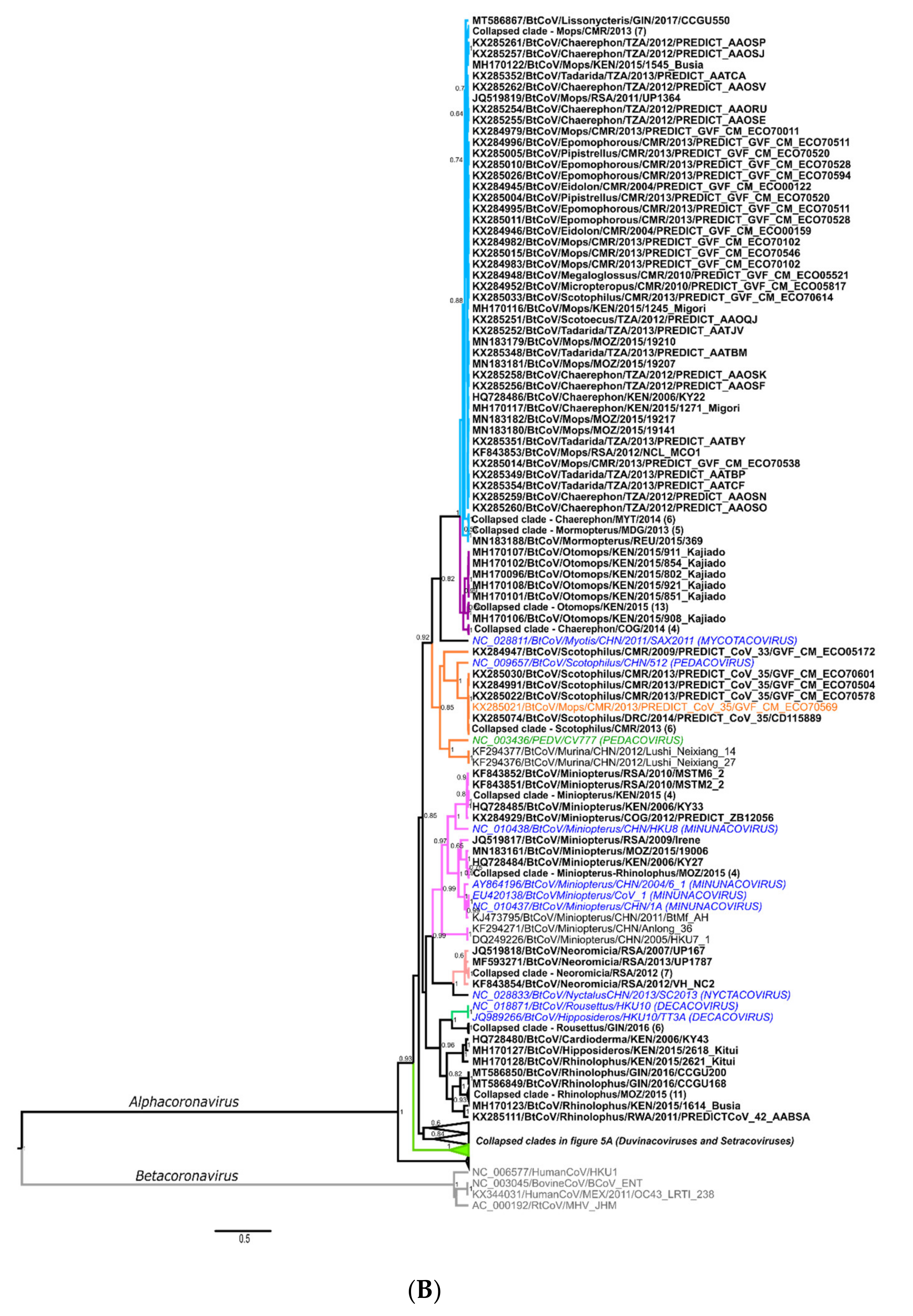 Viruses 13 00936 g005b