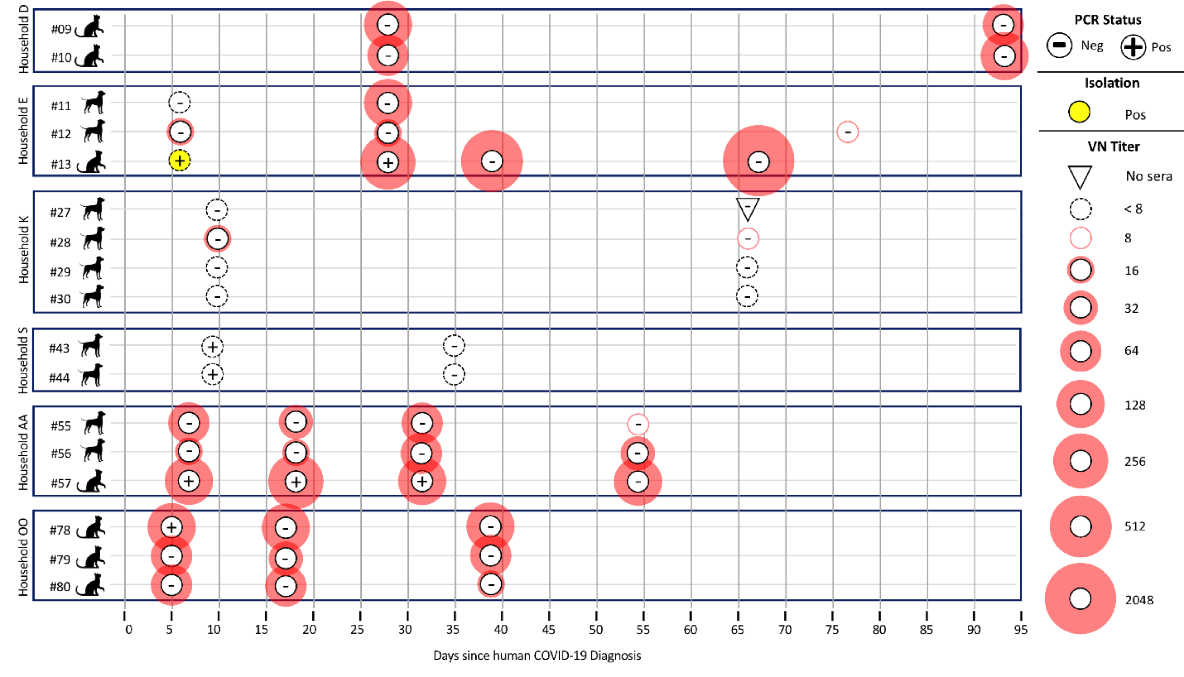 Viruses 13 00938 g002