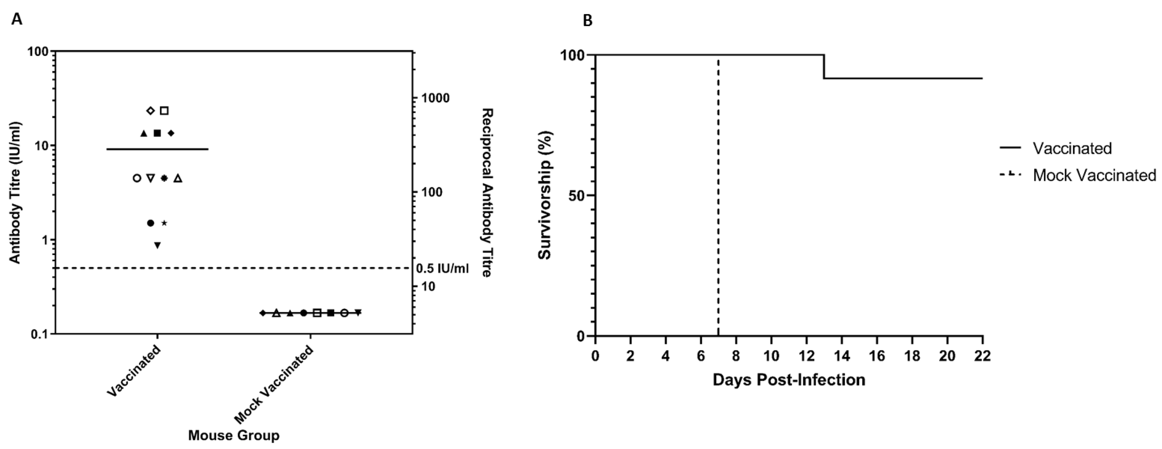 Viruses 13 00947 g005 Viruses 13 00947 g005