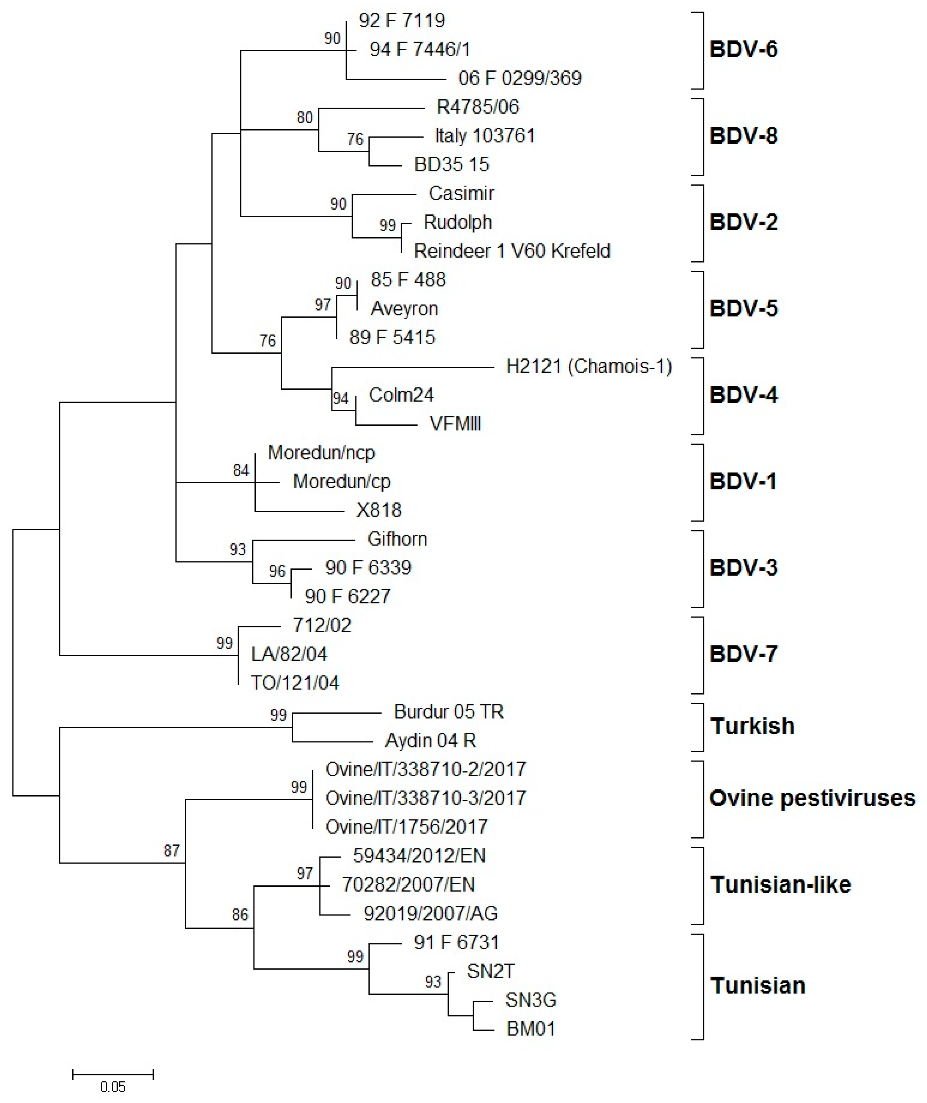 Viruses 13 00950 g001