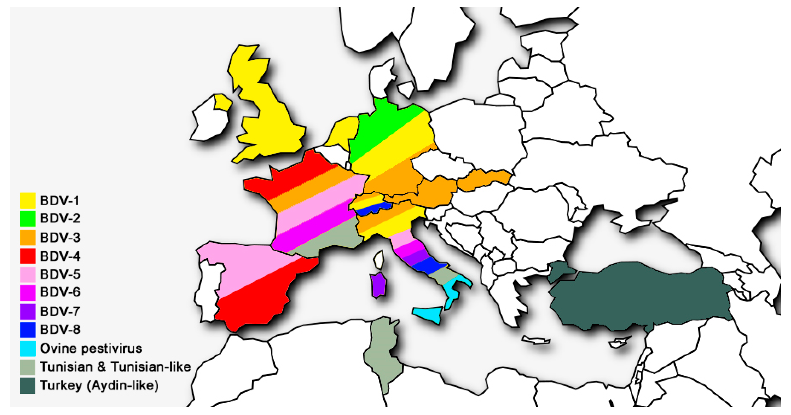 Viruses 13 00950 g003