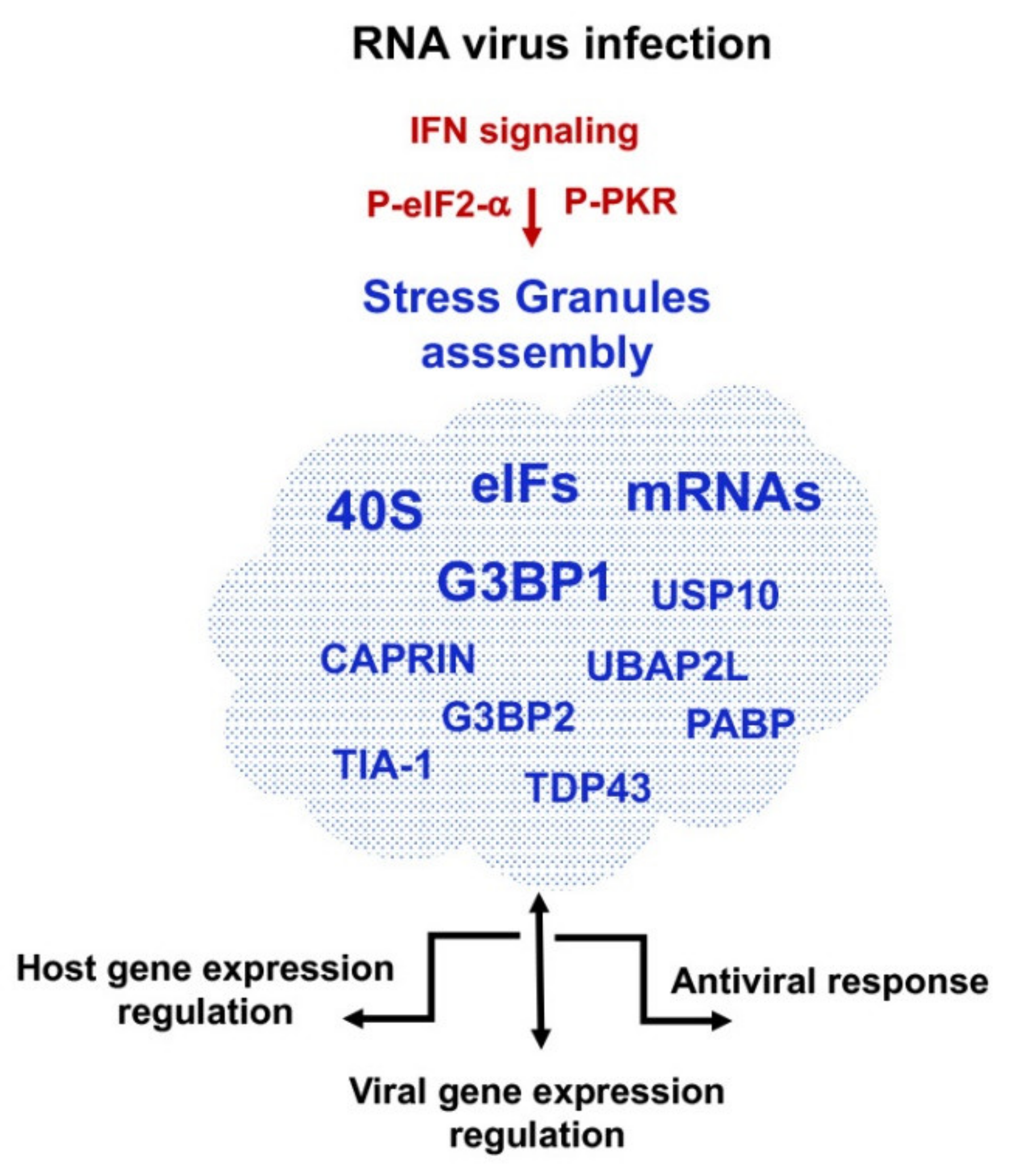 Viruses 13 00952 g003 Viruses 13 00952 g003