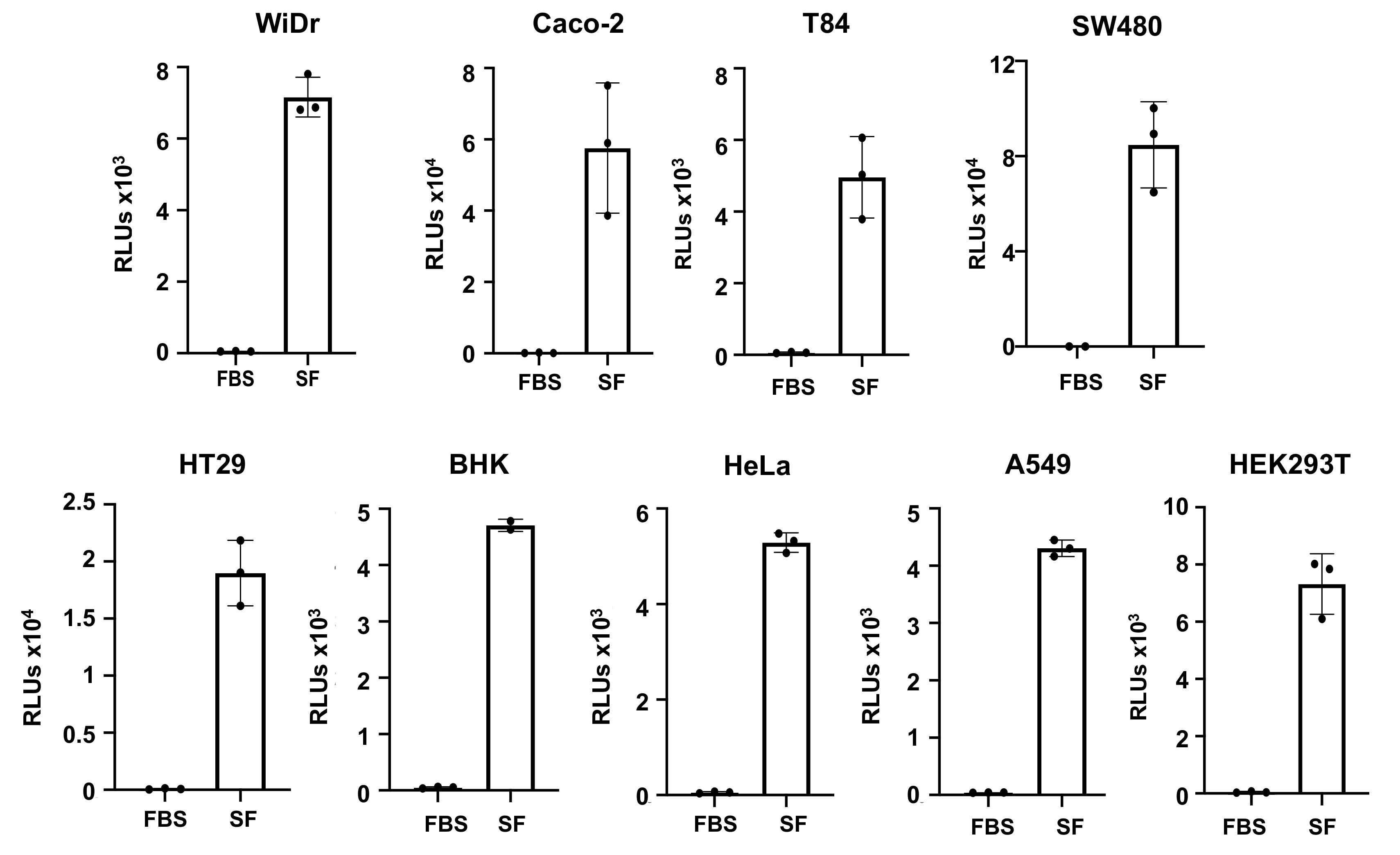 Viruses 13 00953 g003 Viruses 13 00953 g003