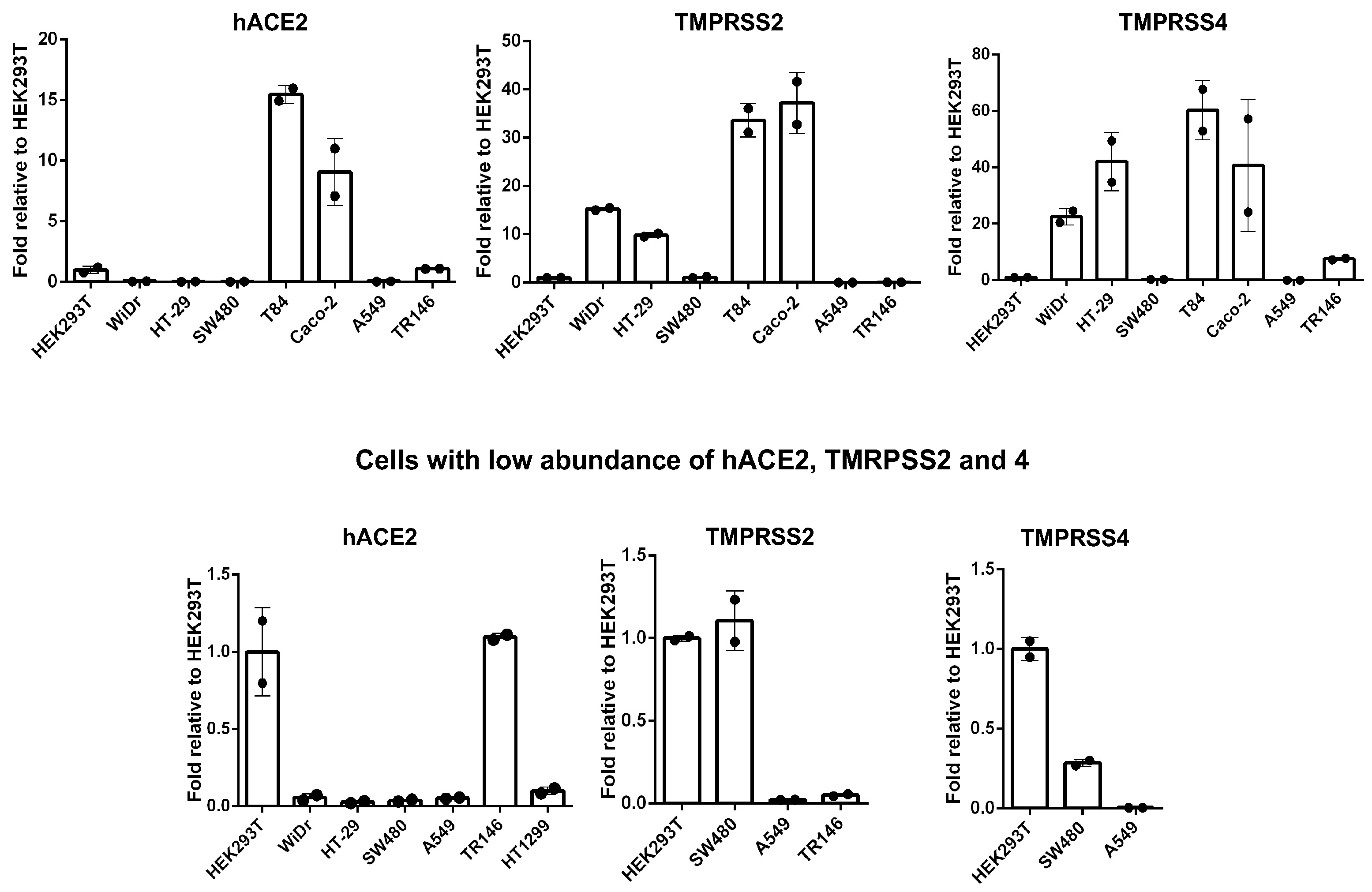 Viruses 13 00953 g006 Viruses 13 00953 g006