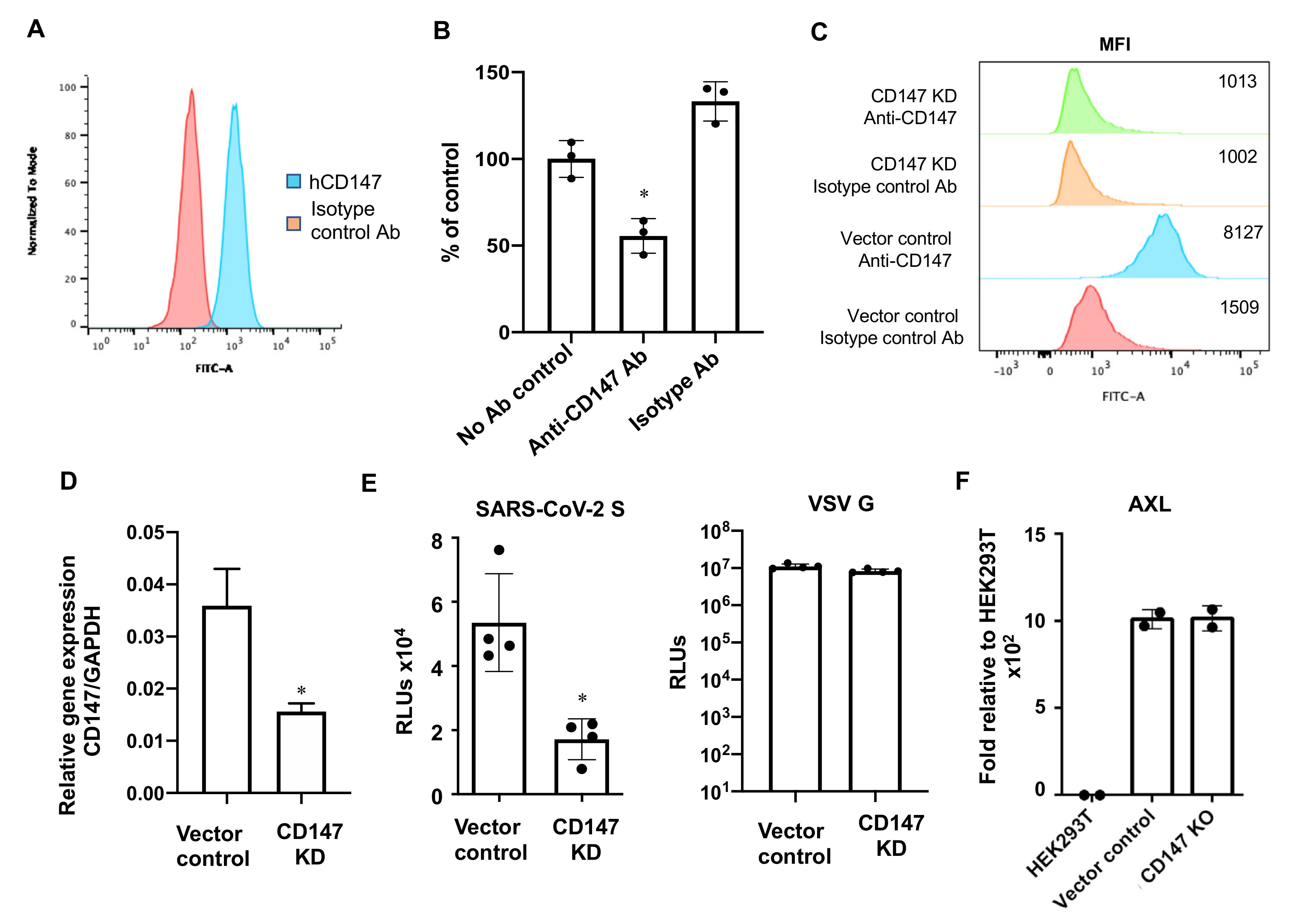 Viruses 13 00953 g009 Viruses 13 00953 g009