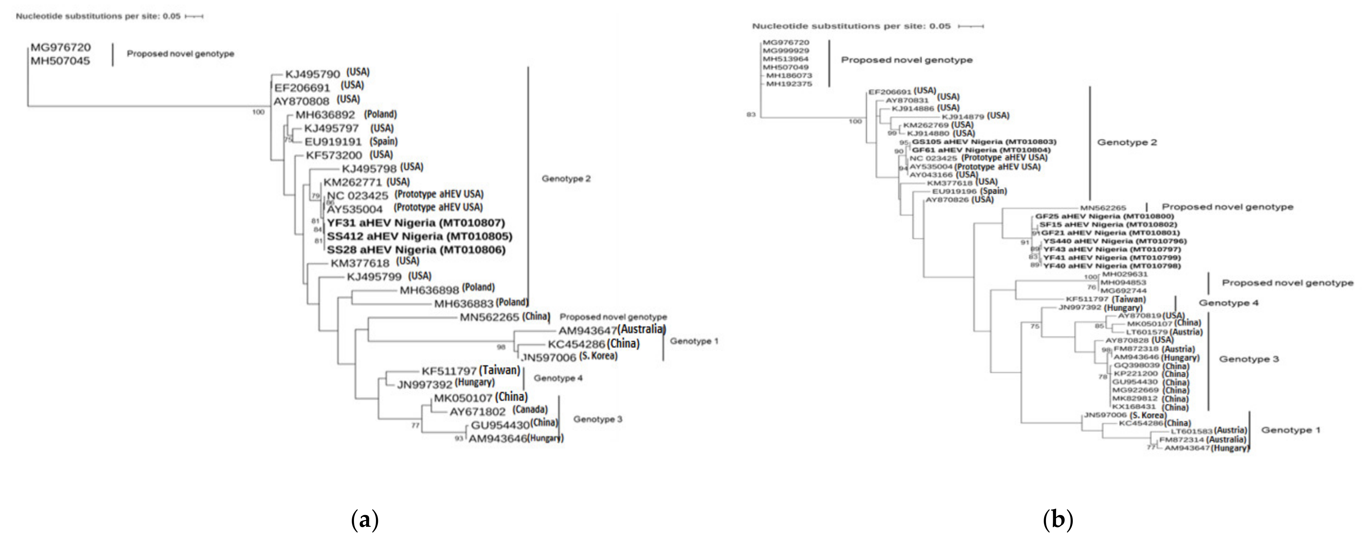 Viruses 13 00954 g001 Viruses 13 00954 g001