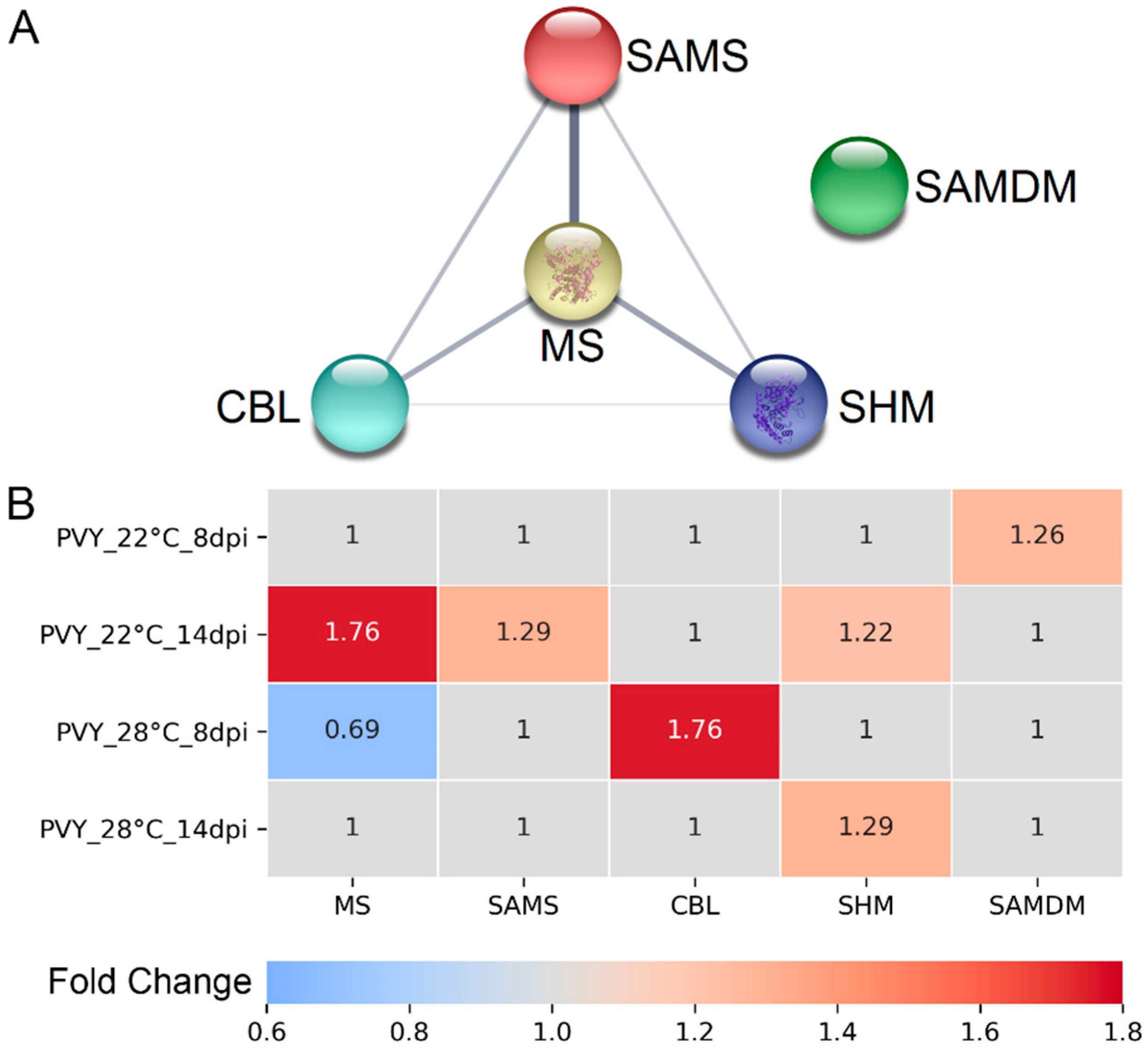Viruses 13 00955 g002 Viruses 13 00955 g002