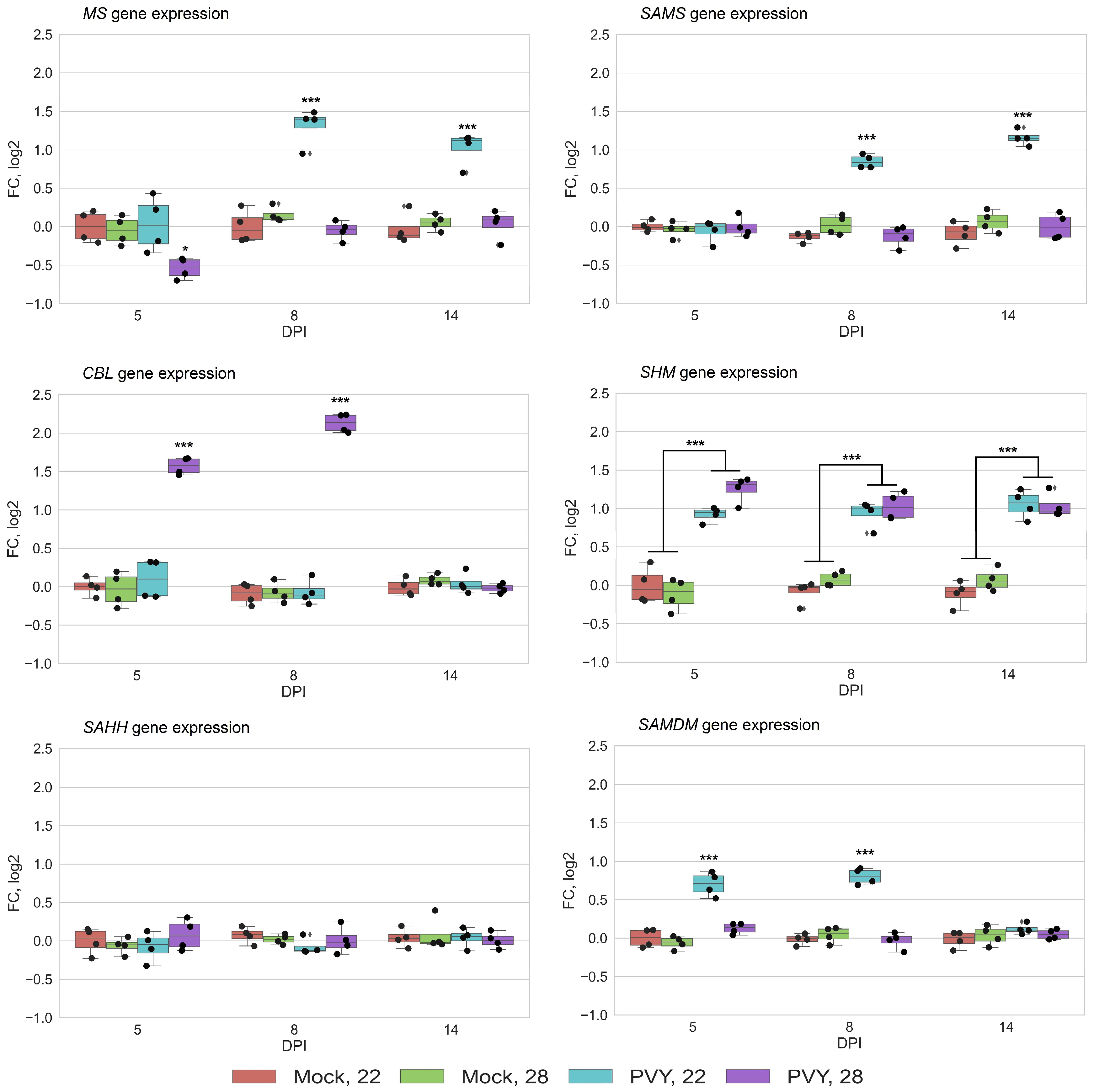 Viruses 13 00955 g003 Viruses 13 00955 g003