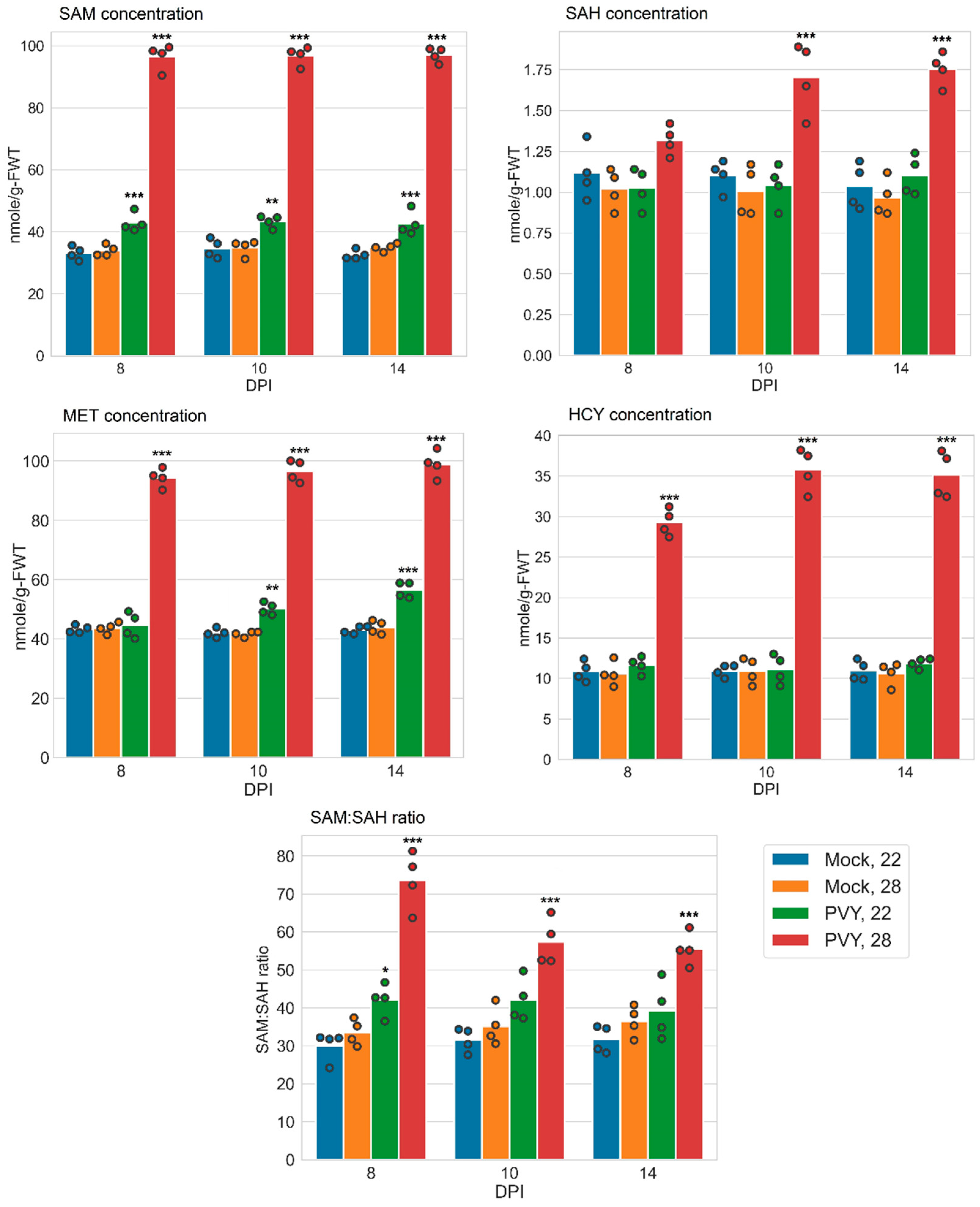 Viruses 13 00955 g004 Viruses 13 00955 g004