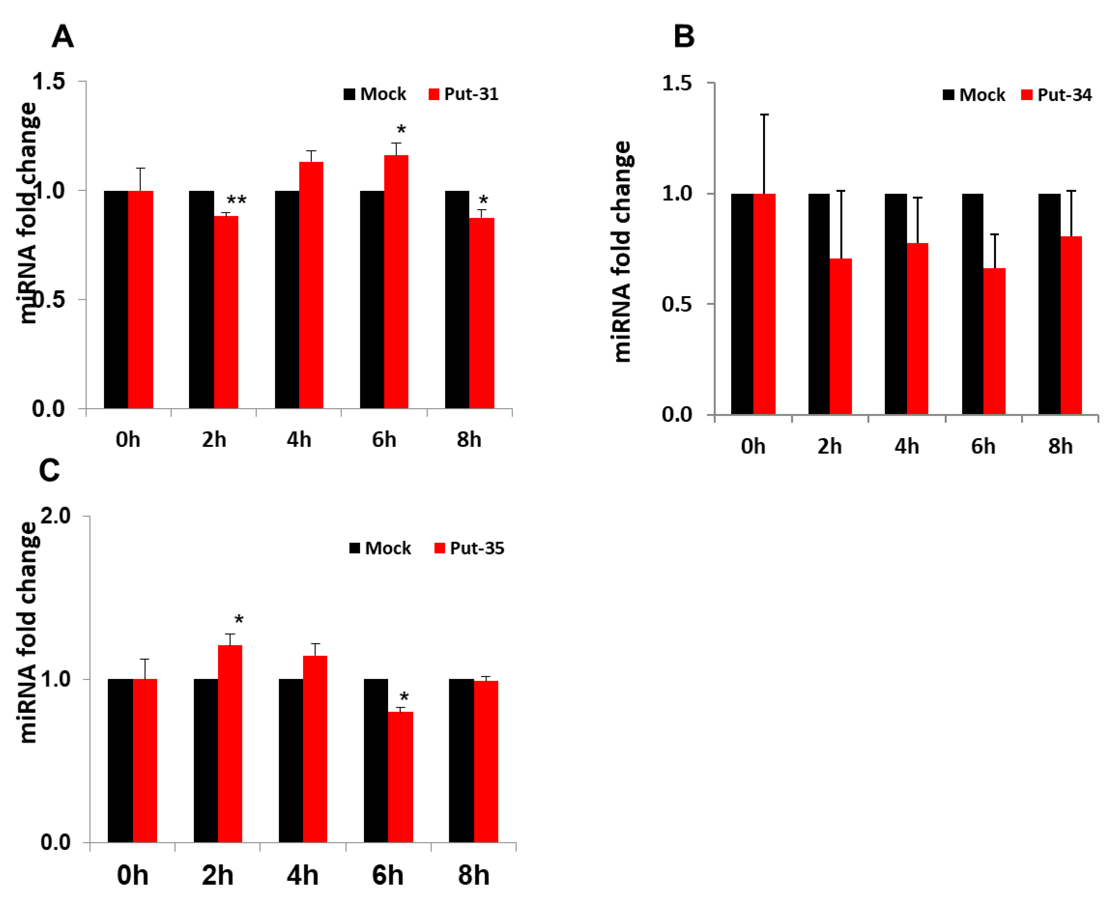 Viruses 13 00967 g002 Viruses 13 00967 g002