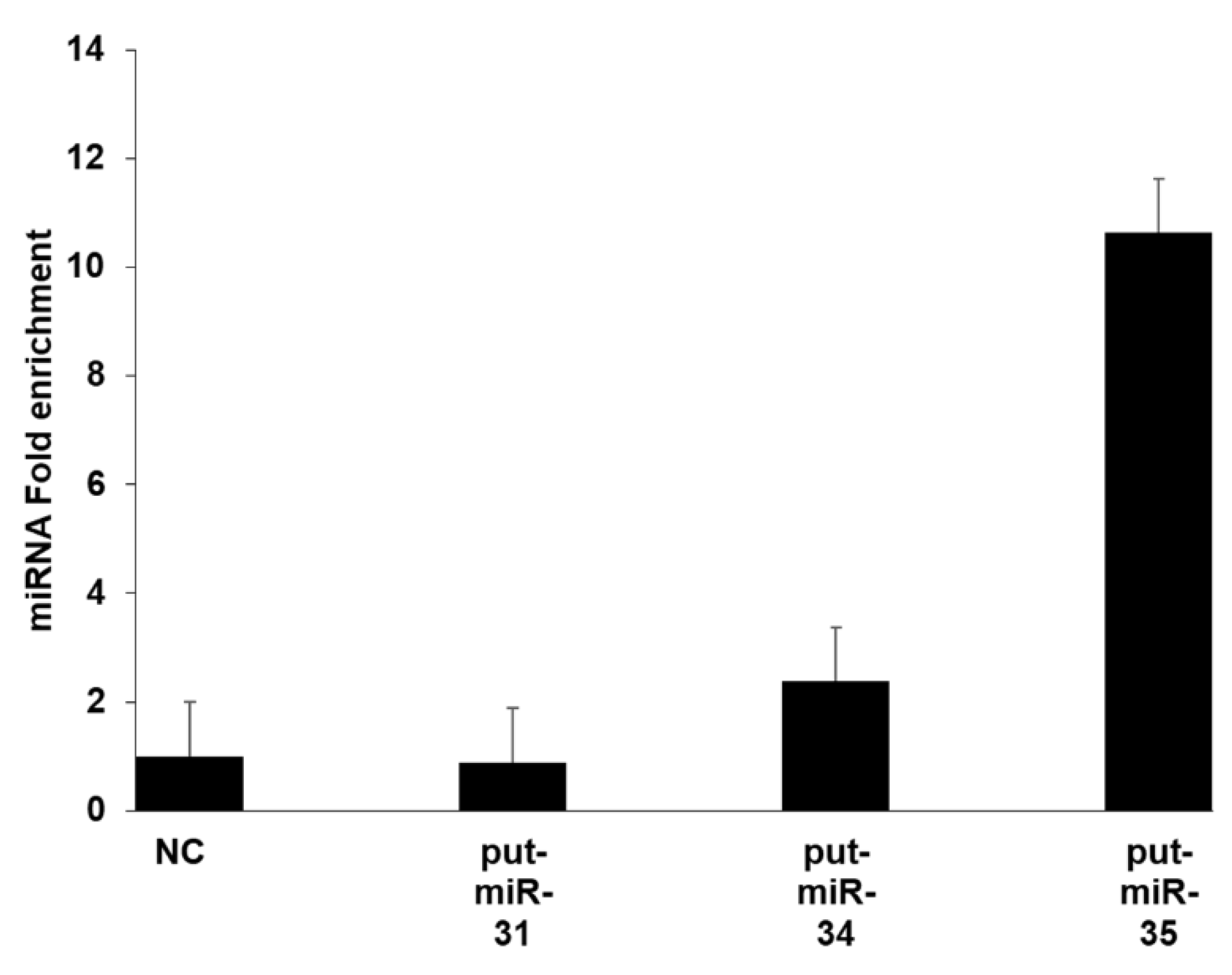 Viruses 13 00967 g005 Viruses 13 00967 g005