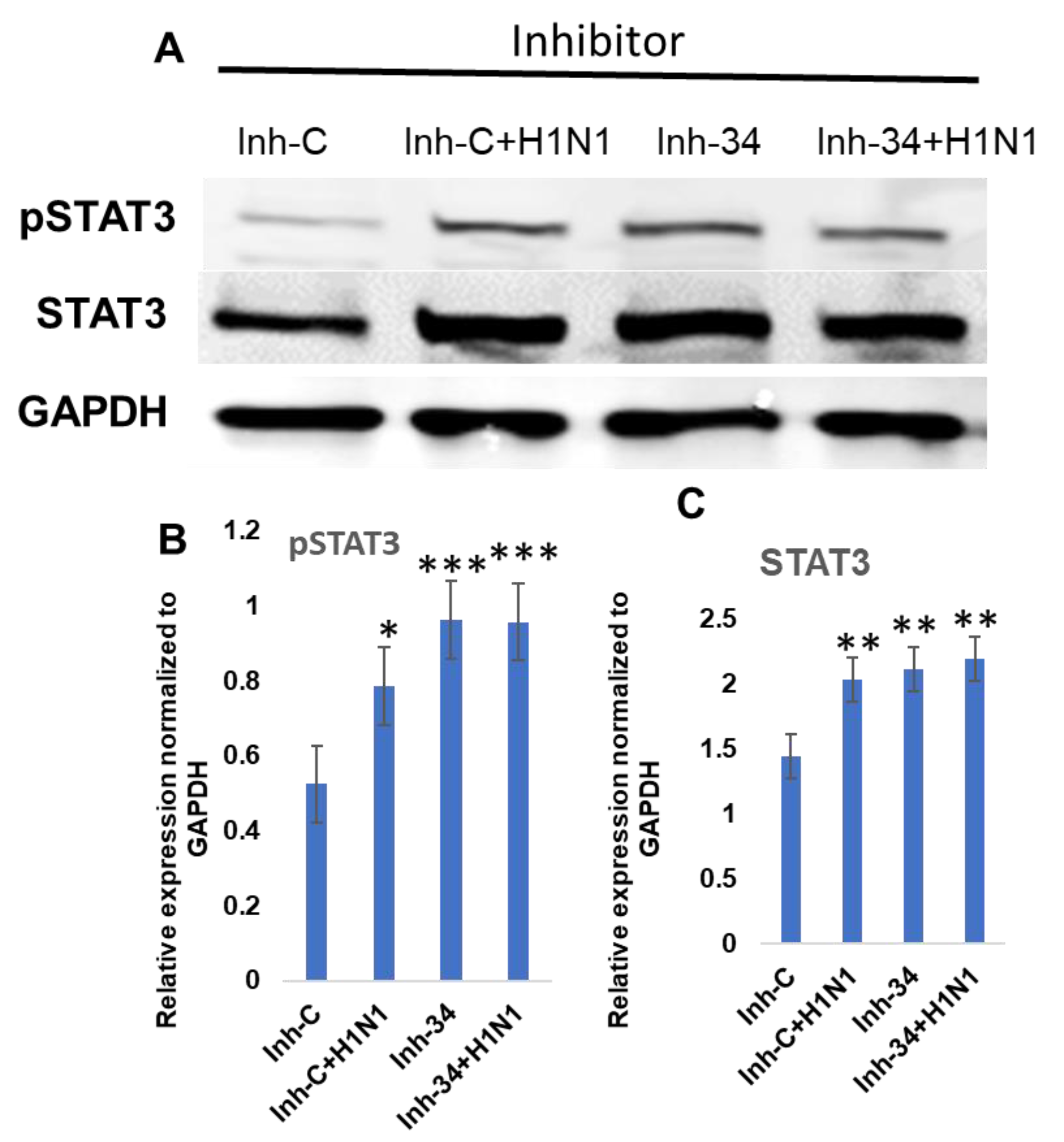 Viruses 13 00967 g007 Viruses 13 00967 g007
