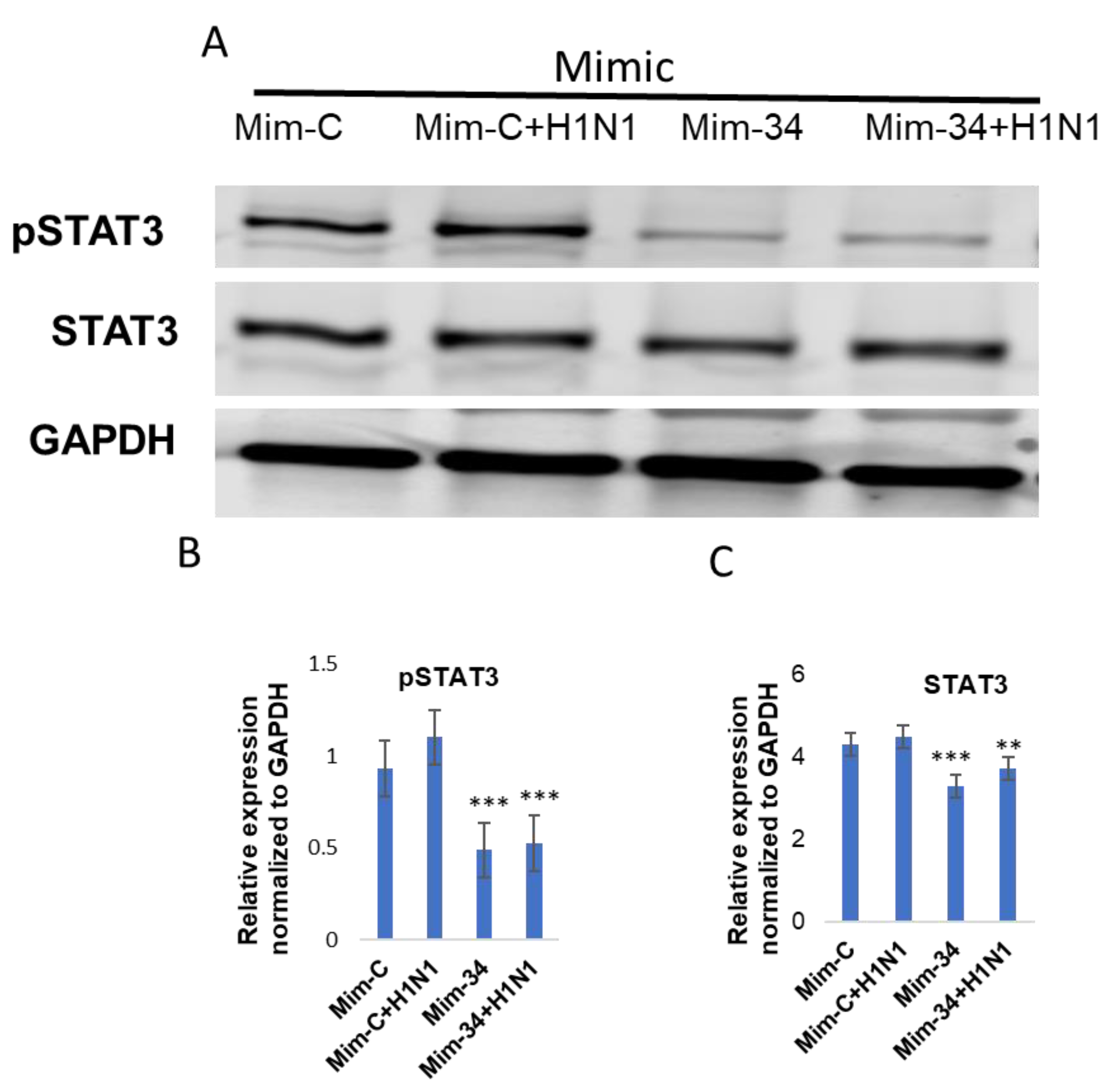 Viruses 13 00967 g008 Viruses 13 00967 g008
