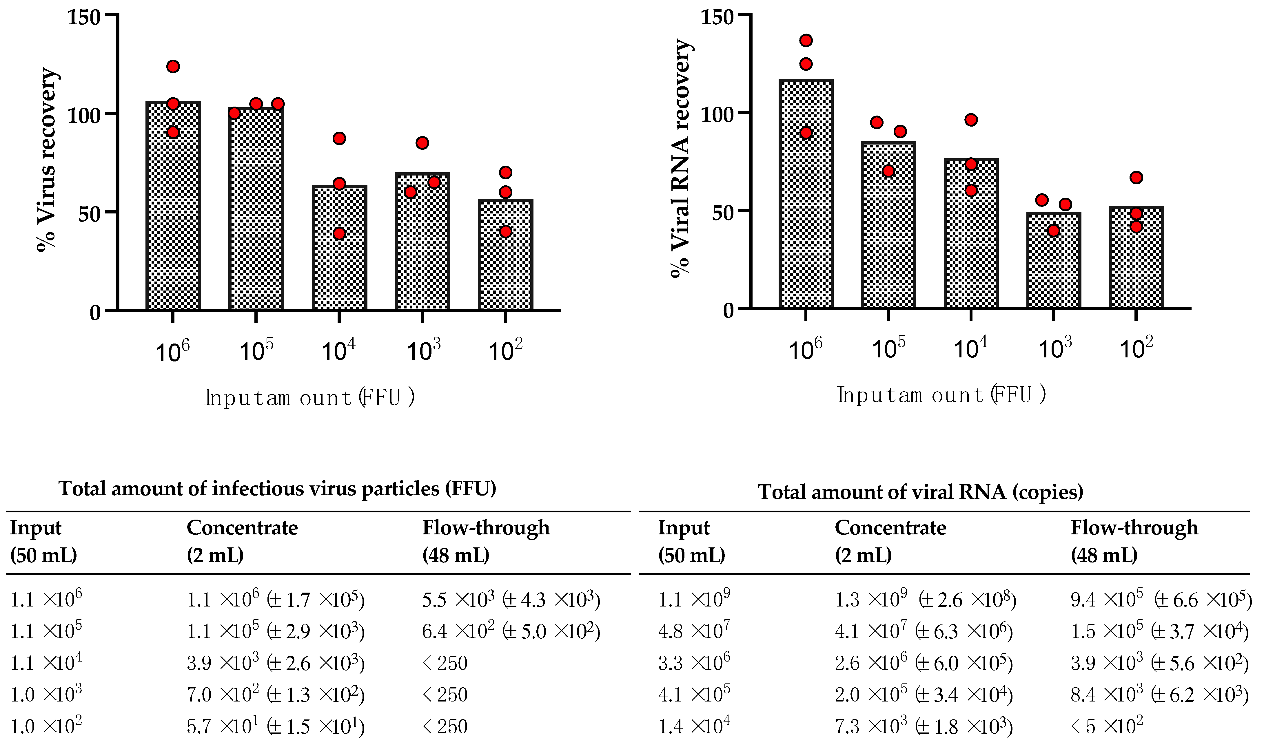 Viruses 13 00968 g002