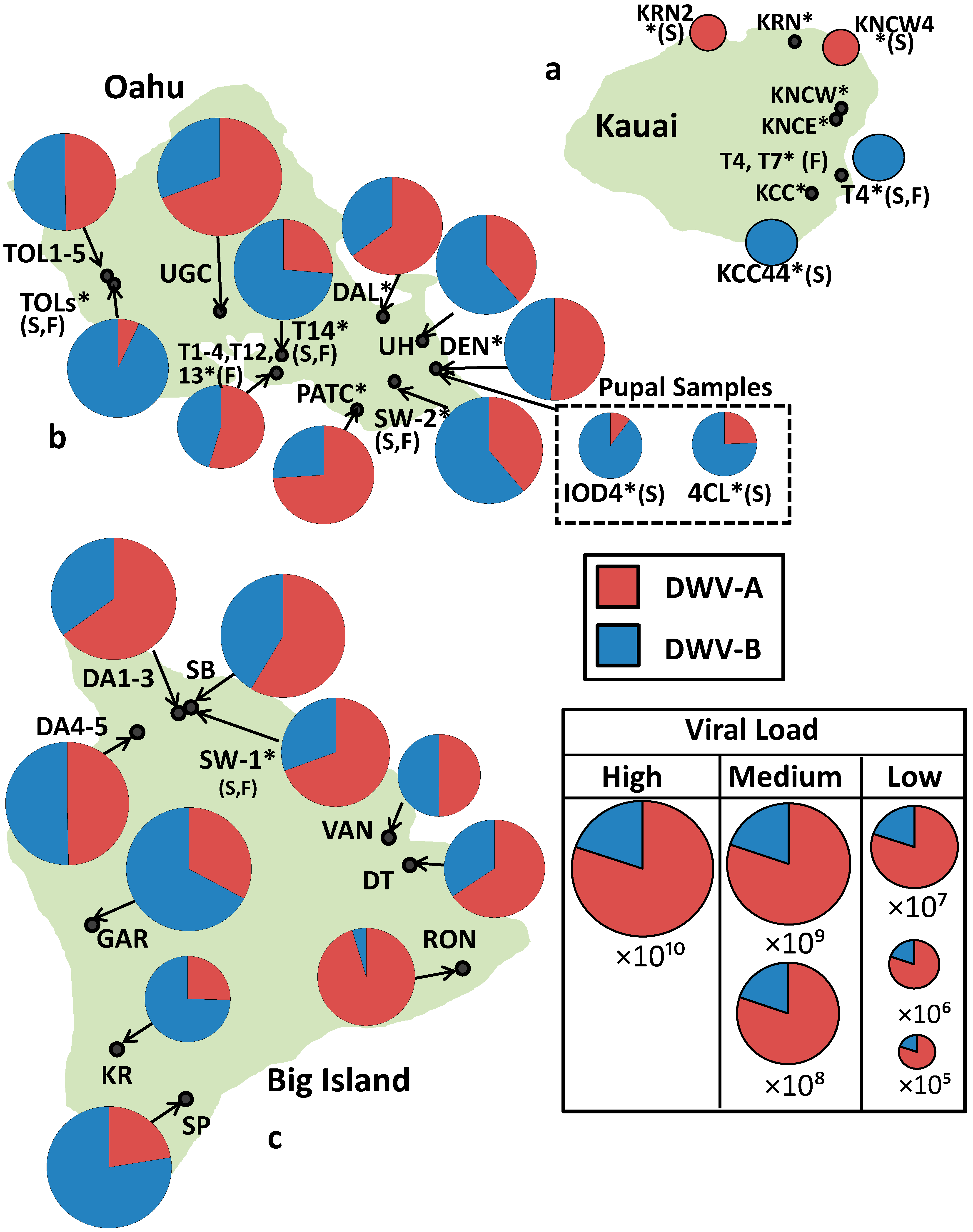 Viruses 13 00969 g001
