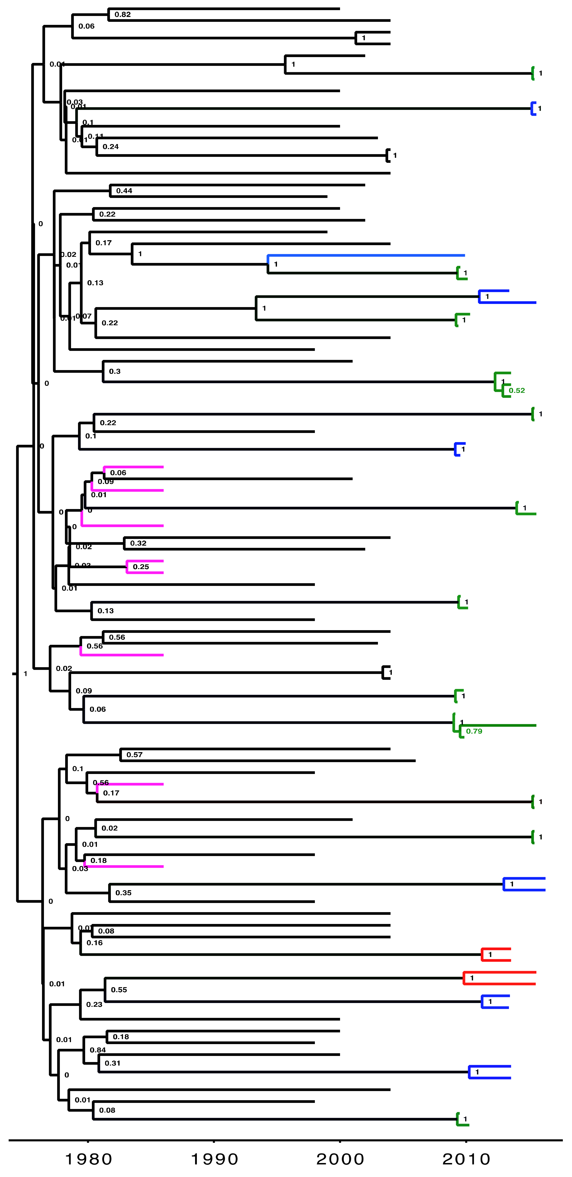 Viruses 13 00970 g001