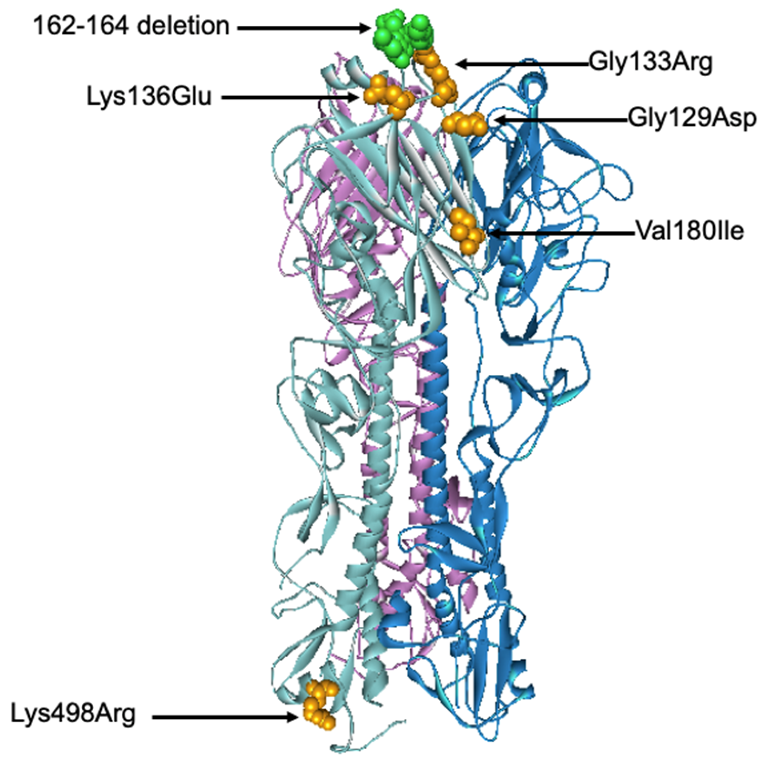 Viruses 13 00977 g007 Viruses 13 00977 g007