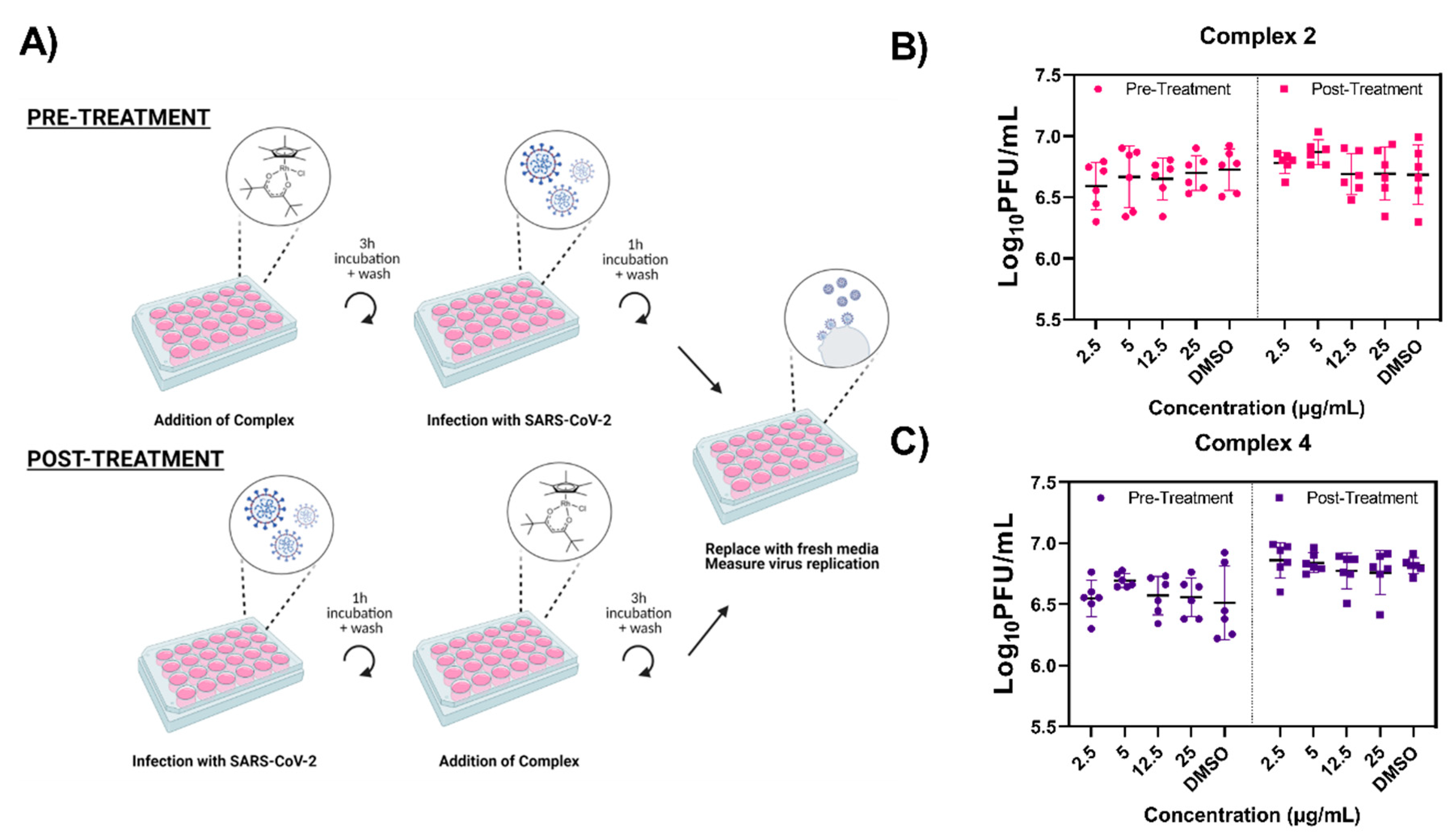 Viruses 13 00980 g006 Viruses 13 00980 g006
