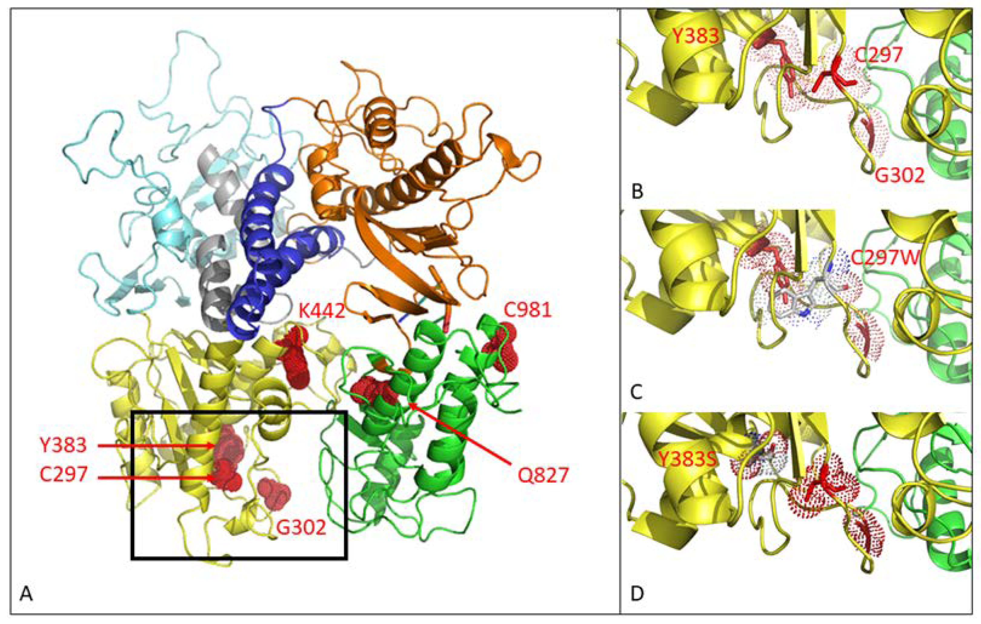 Viruses 13 00985 g001 Viruses 13 00985 g001
