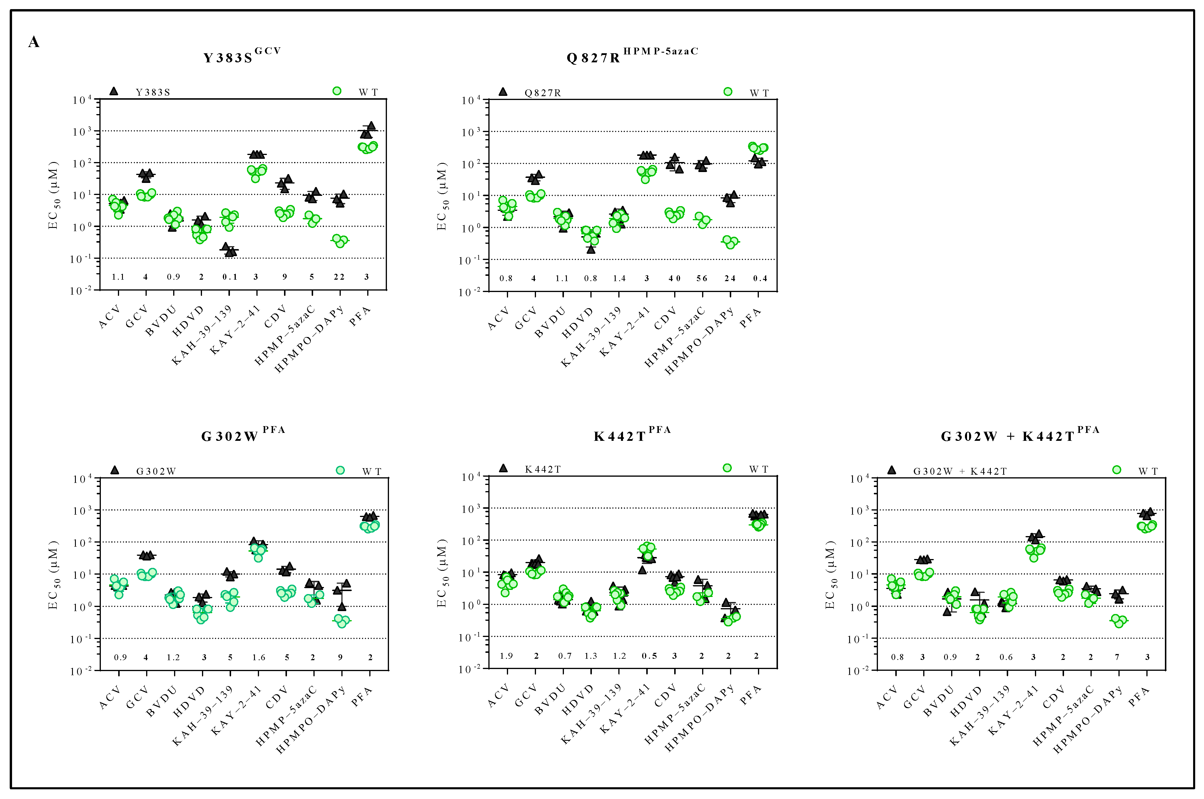 Viruses 13 00985 g002a Viruses 13 00985 g002a