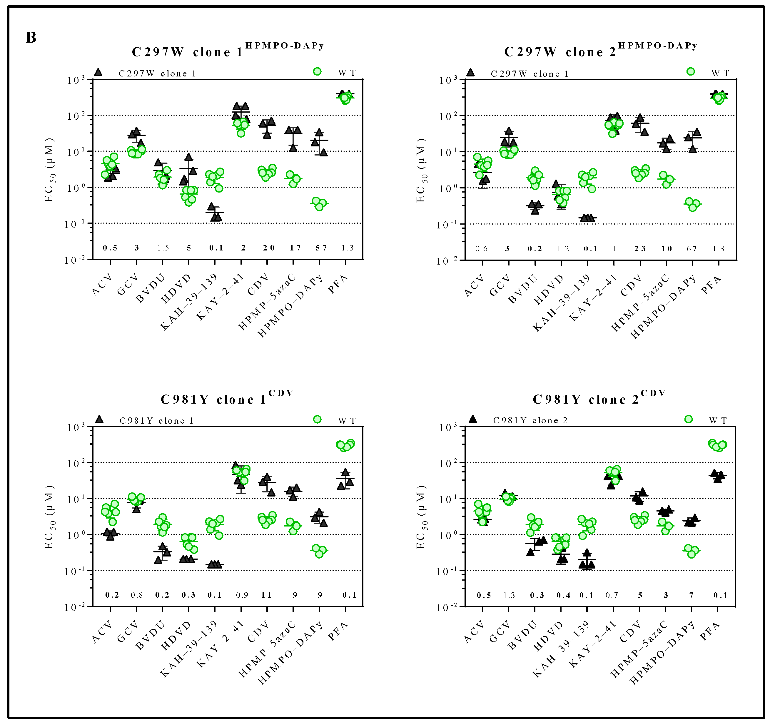 Viruses 13 00985 g002b Viruses 13 00985 g002b
