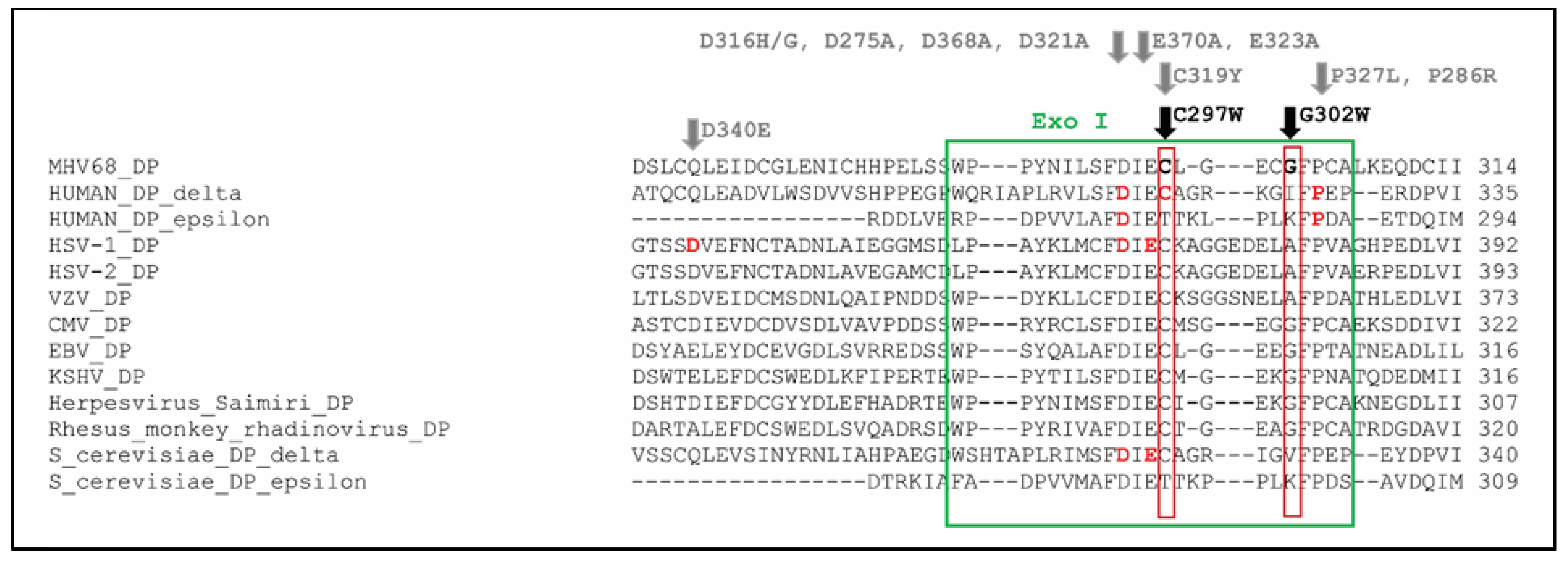 Viruses 13 00985 g006 Viruses 13 00985 g006