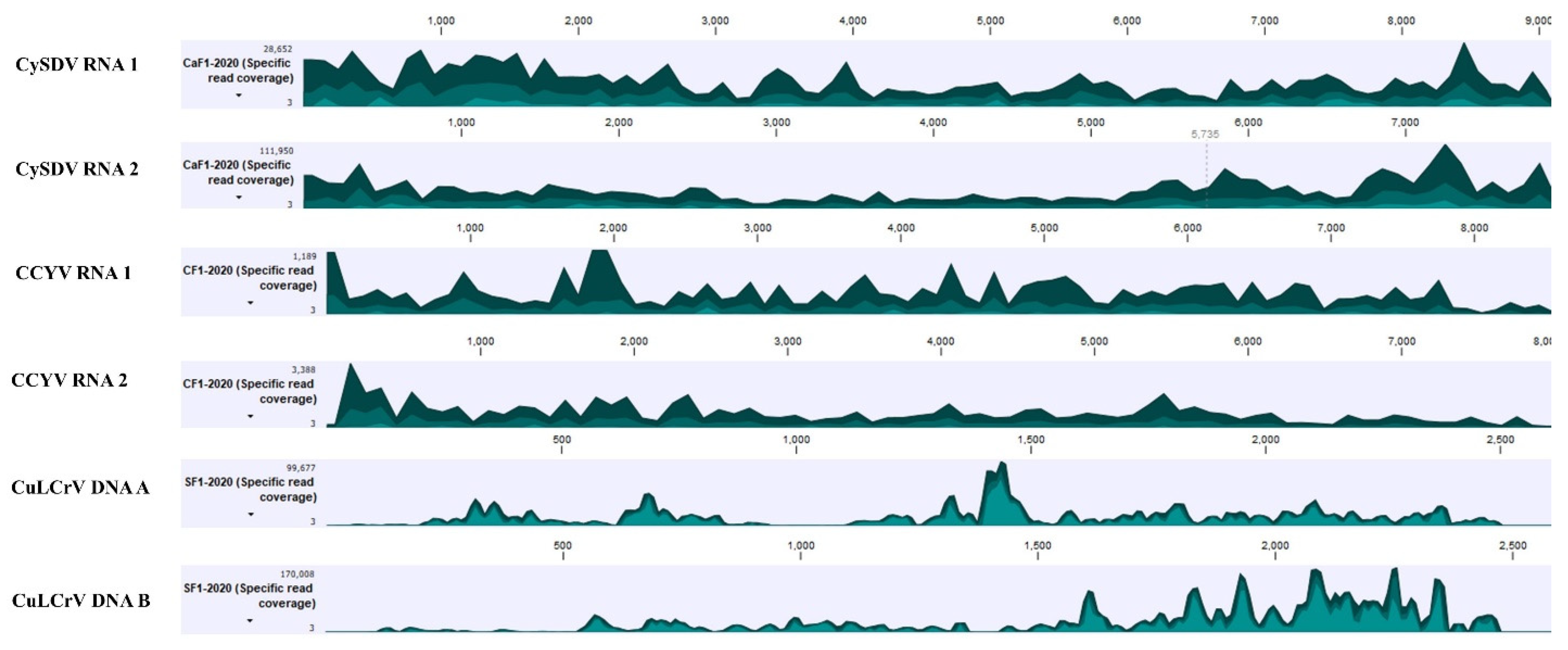 Viruses 13 00988 g003a Viruses 13 00988 g003a
