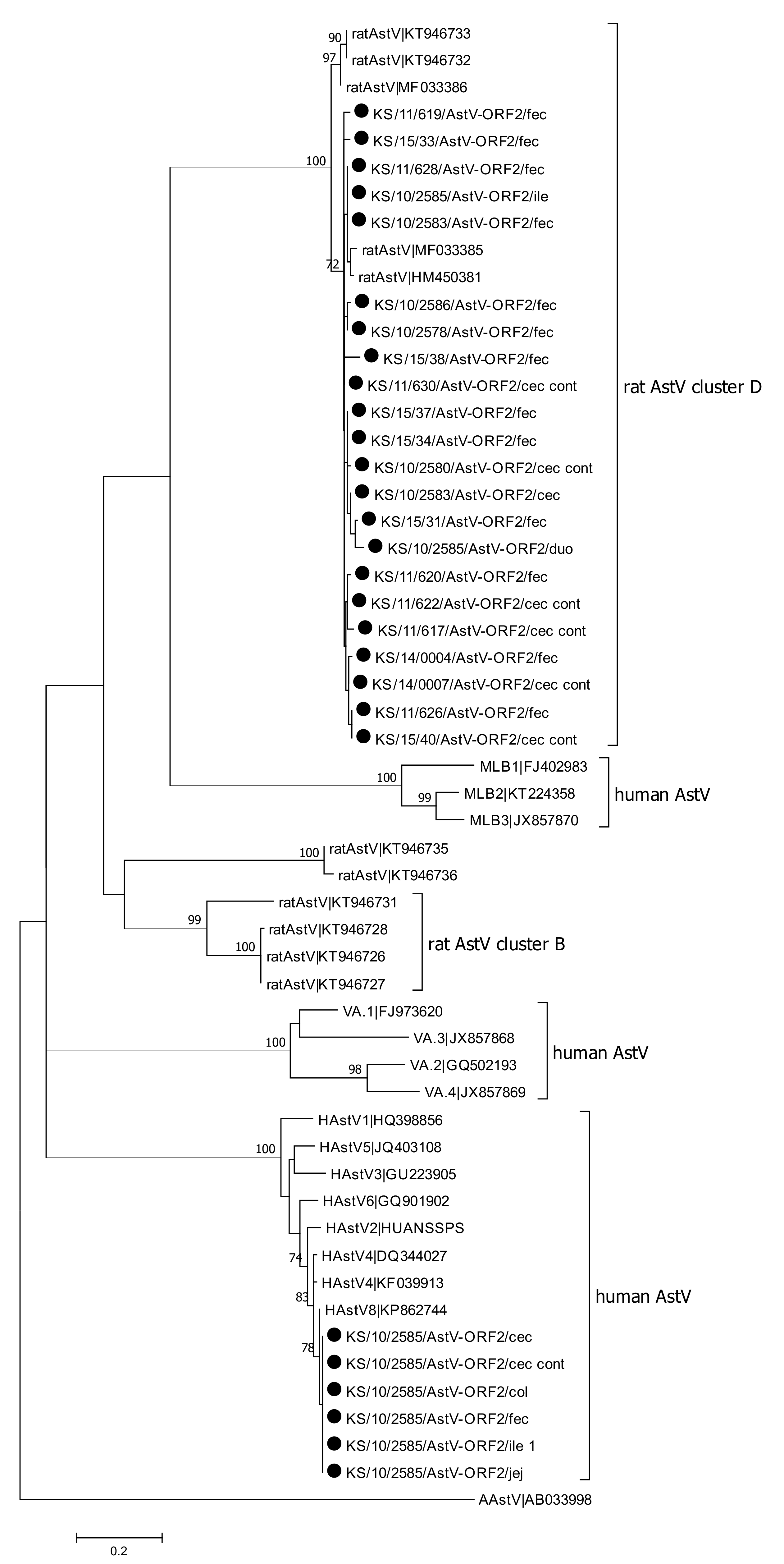 Viruses 13 00992 g001 Viruses 13 00992 g001