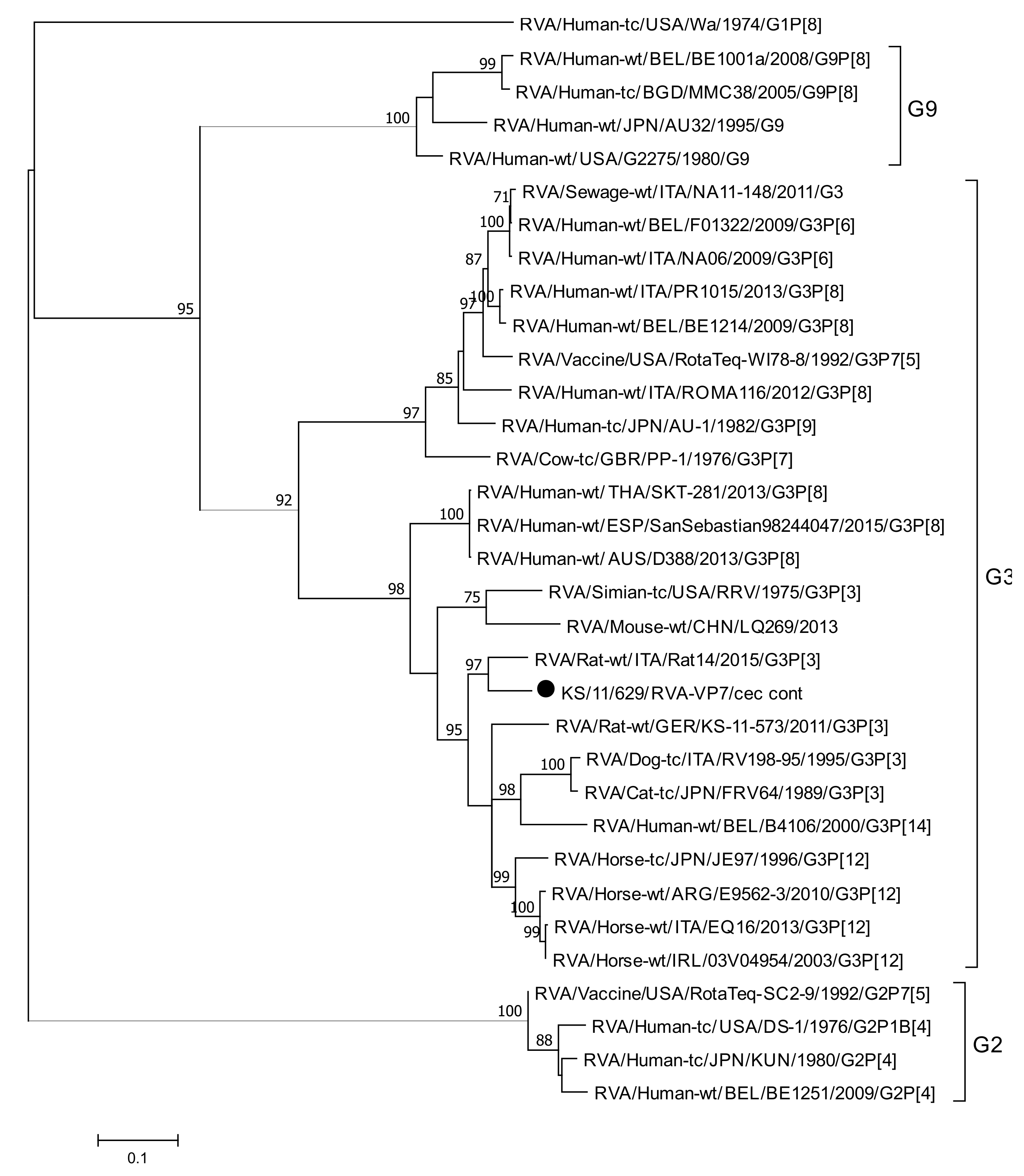Viruses 13 00992 g003 Viruses 13 00992 g003