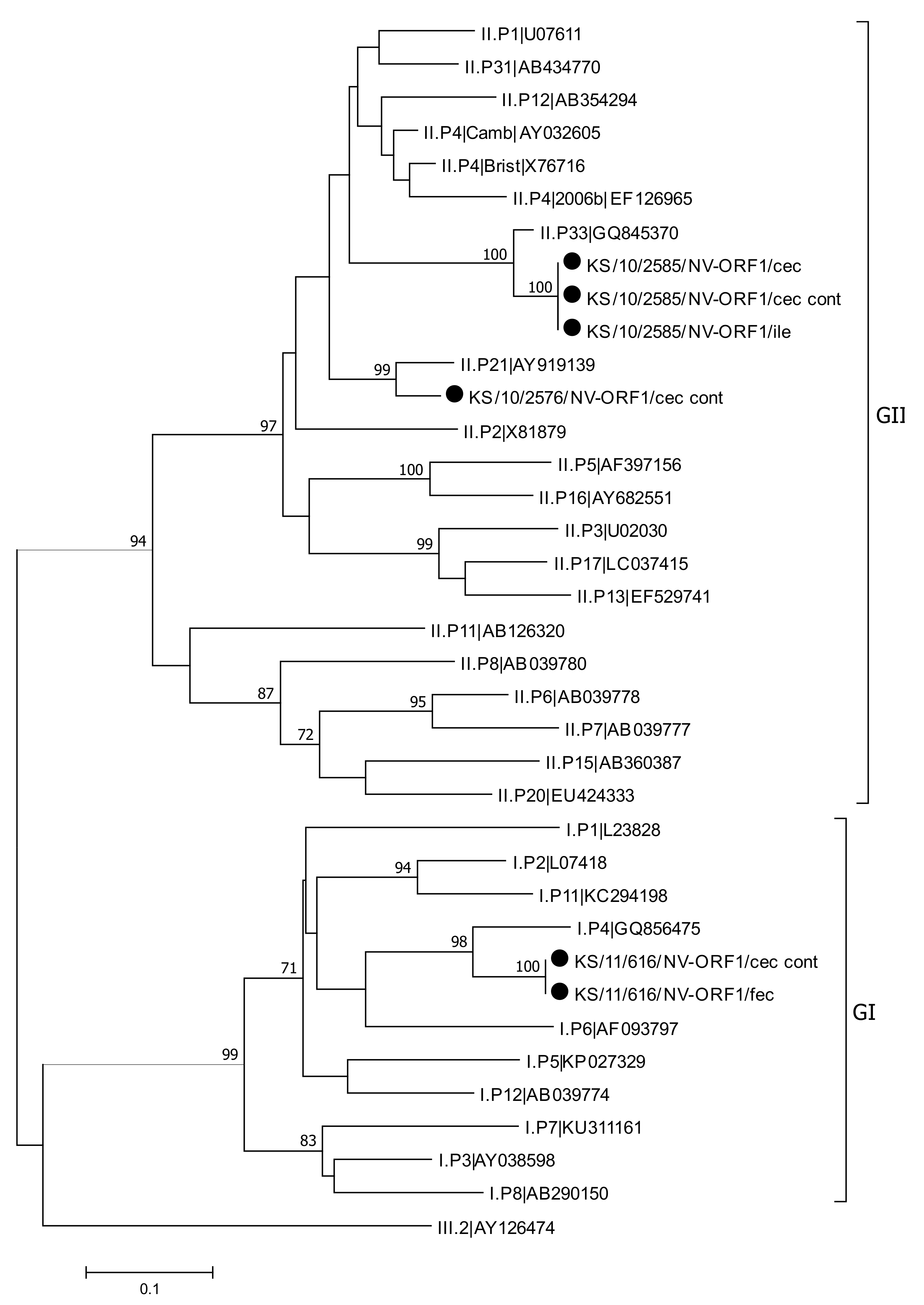 Viruses 13 00992 g006 Viruses 13 00992 g006