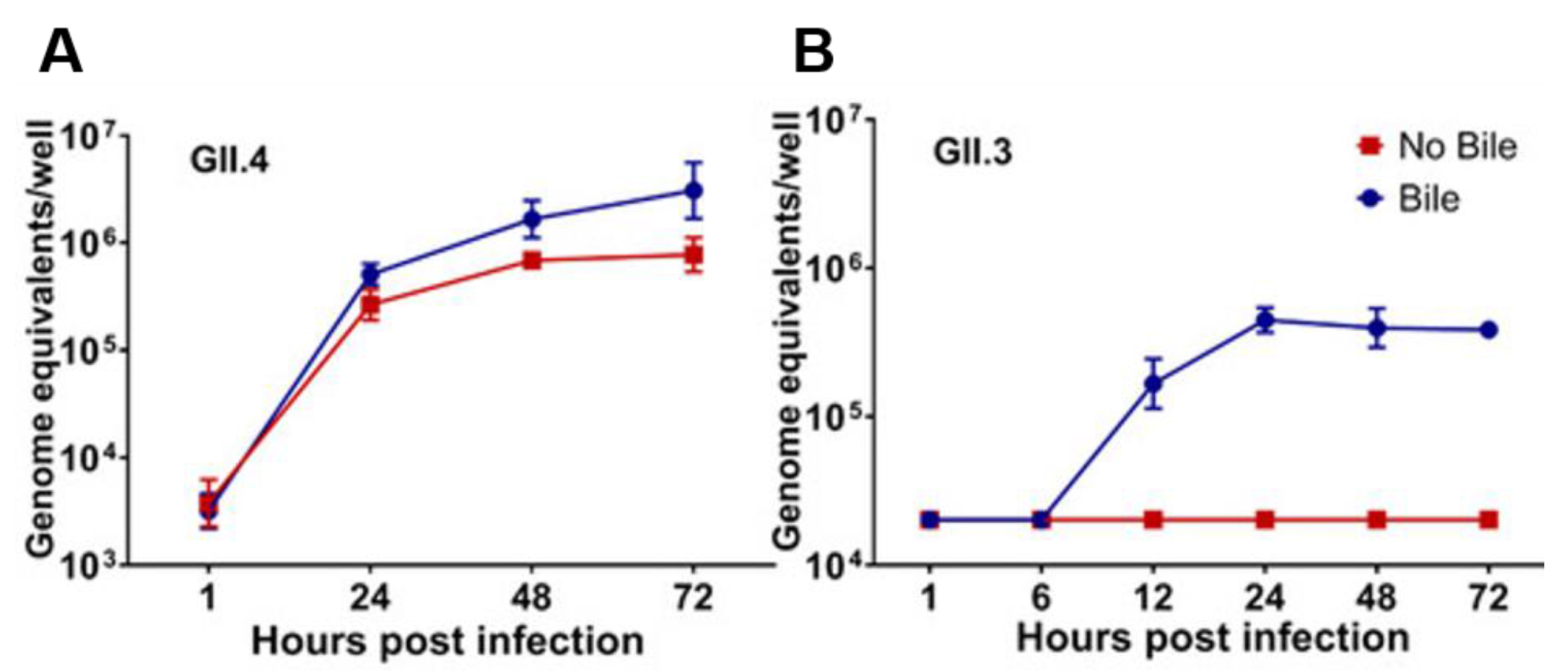 Viruses 13 00998 g004 Viruses 13 00998 g004