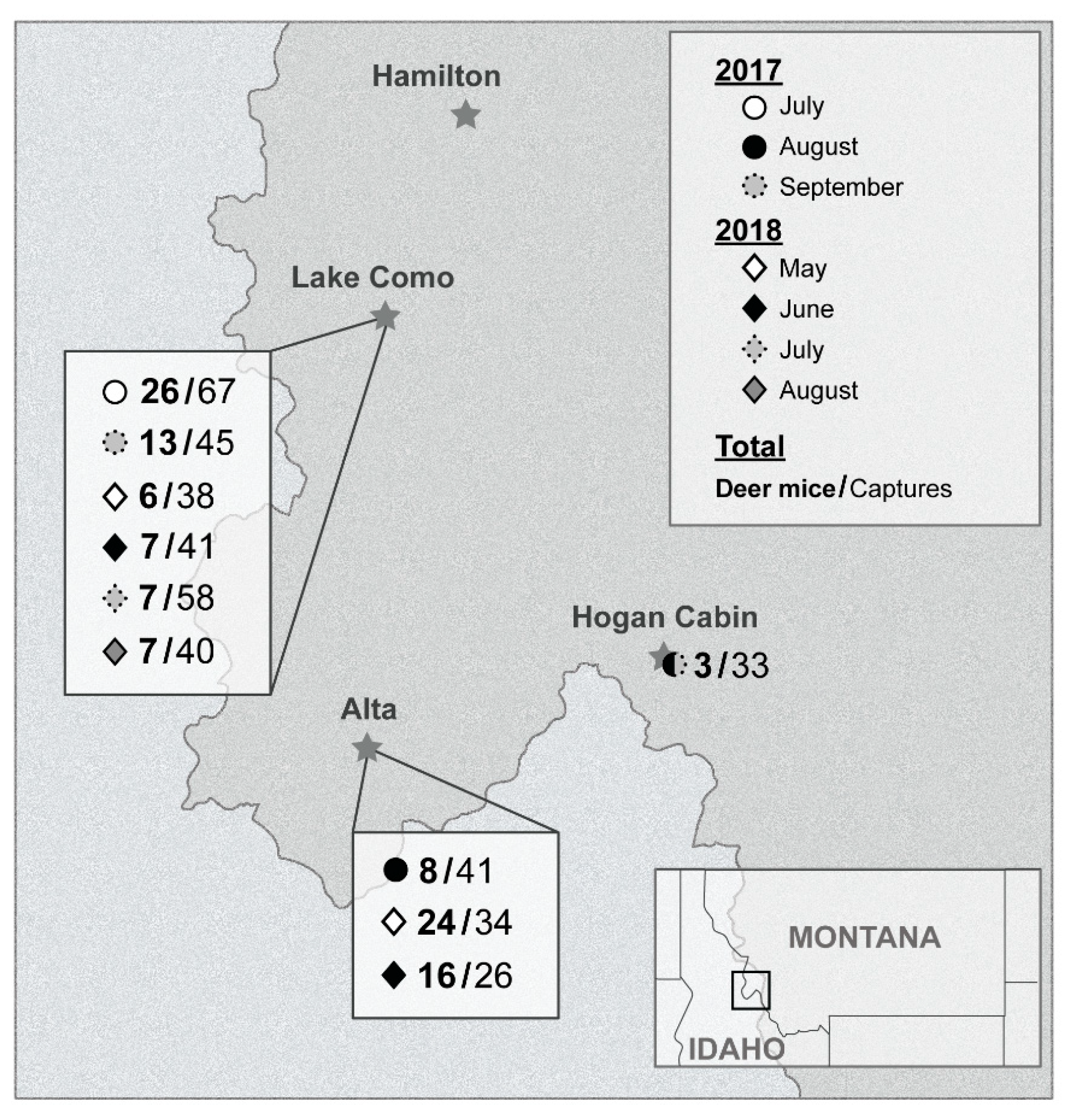Viruses 13 01006 g001 Viruses 13 01006 g001