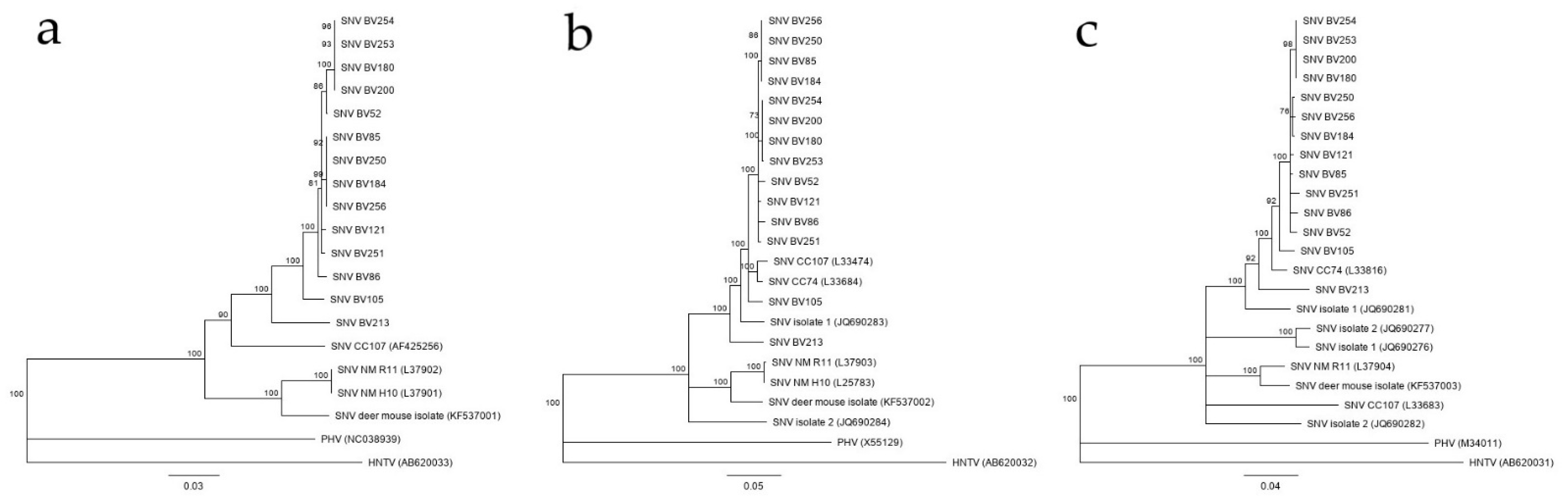 Viruses 13 01006 g002 Viruses 13 01006 g002