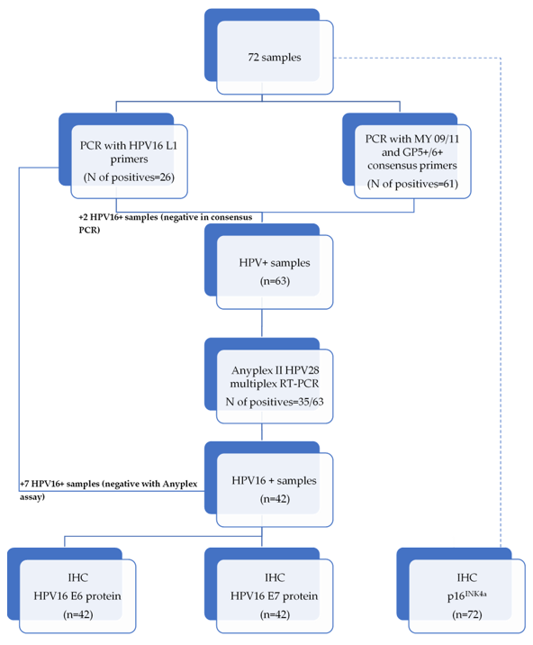 Viruses 13 01008 g0a1 Viruses 13 01008 g0a1