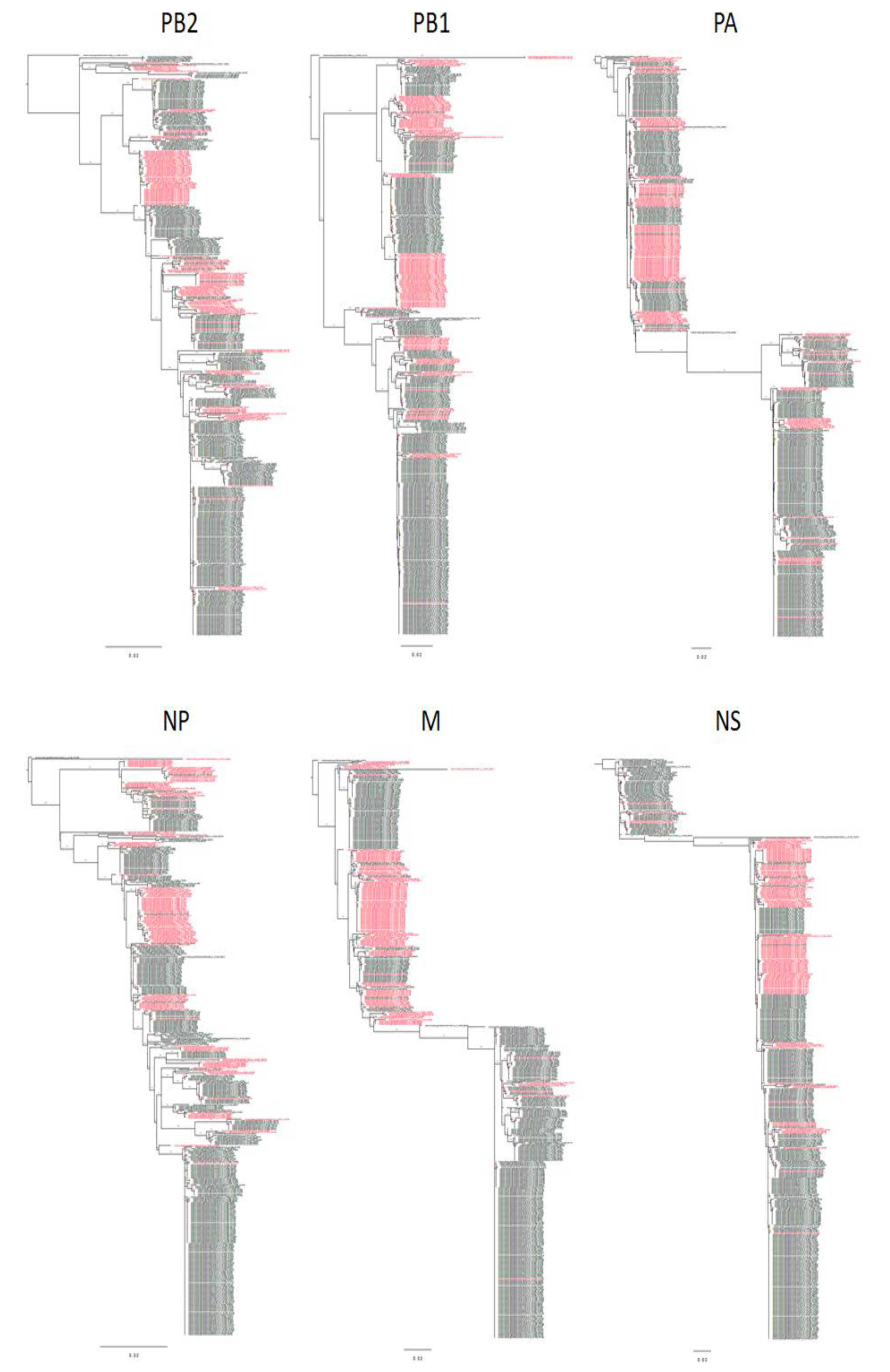 Viruses 13 01010 g002 Viruses 13 01010 g002