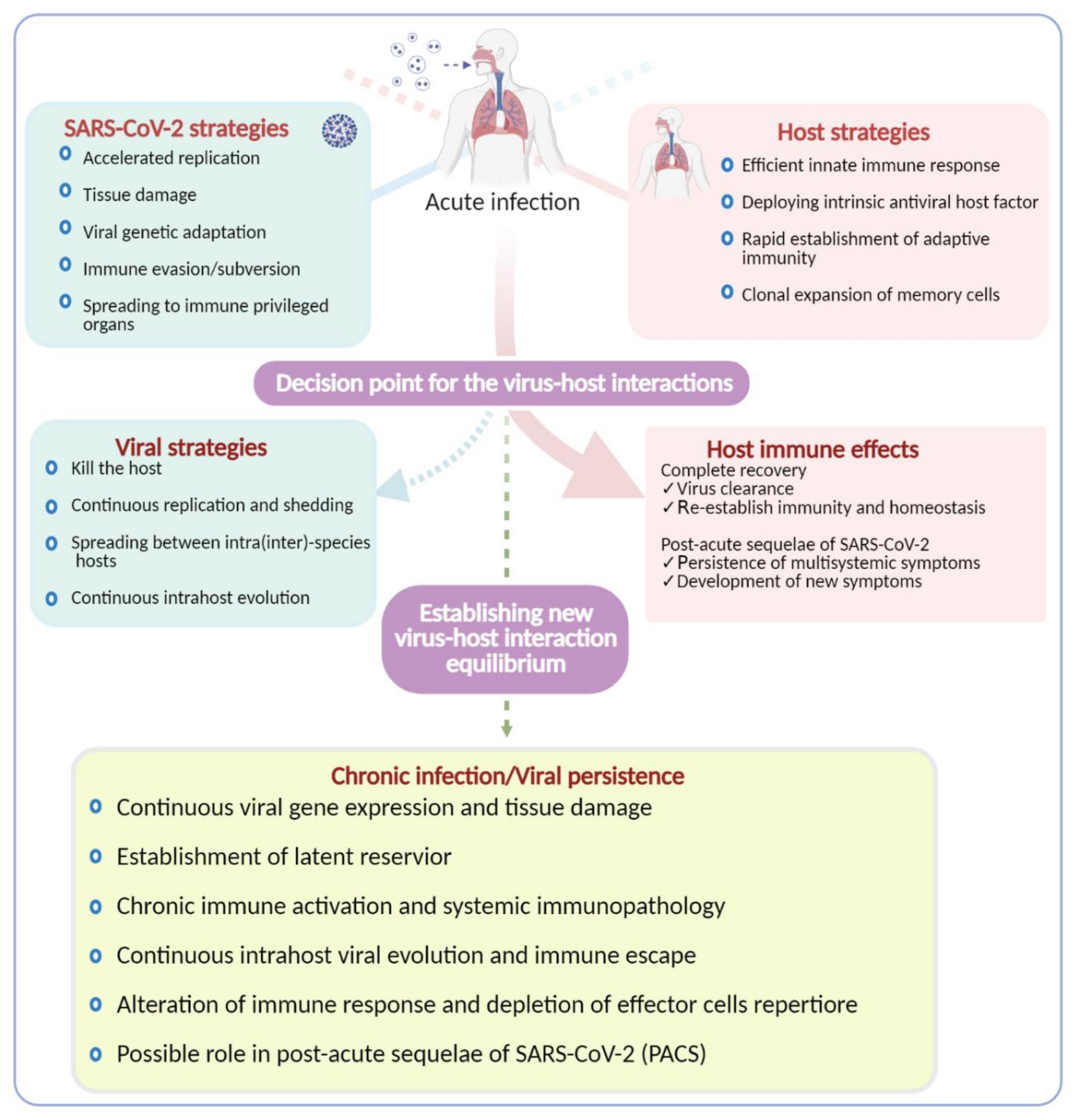 Viruses 13 01025 g004 Viruses 13 01025 g004