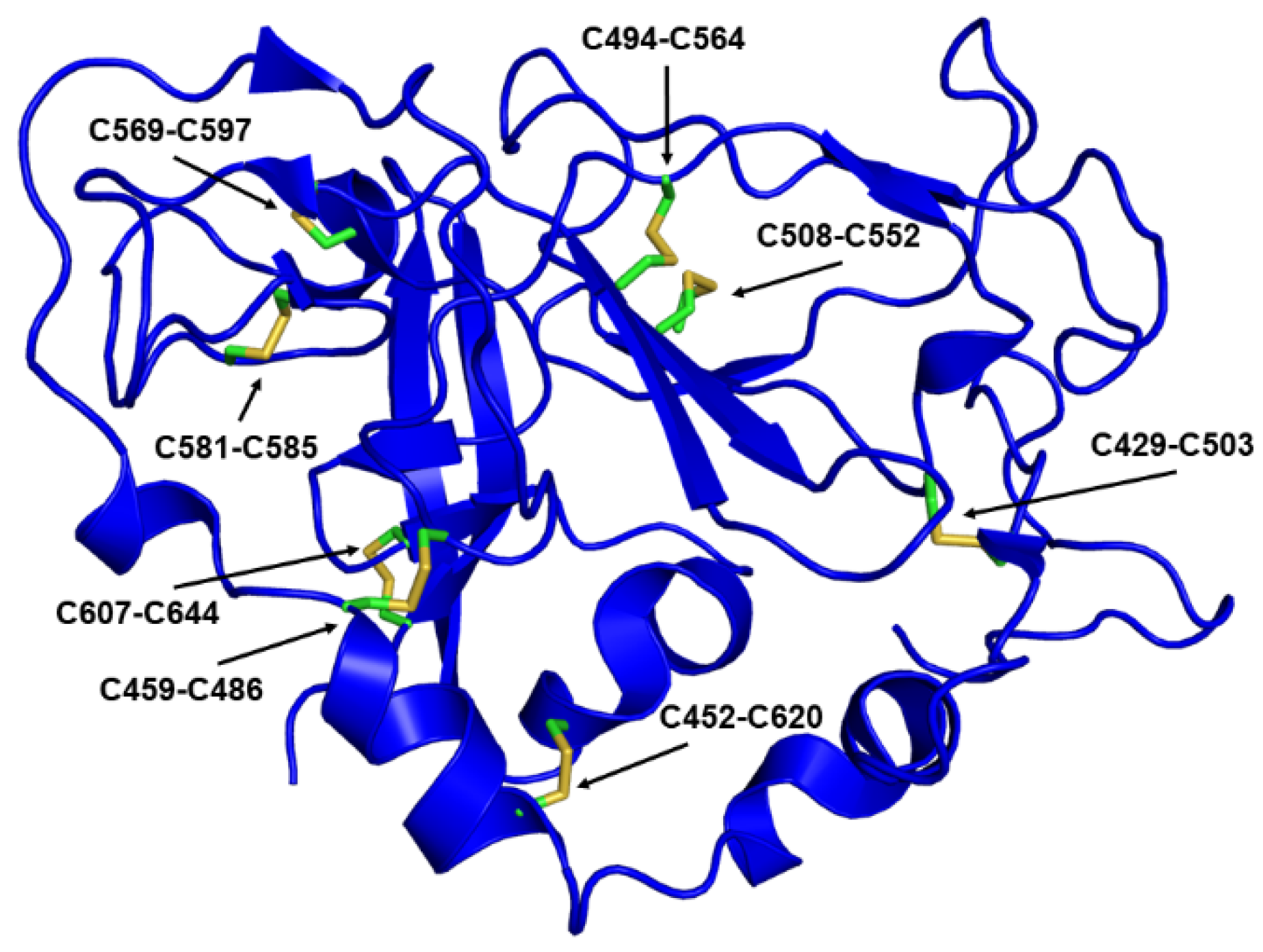 Viruses 13 01027 g008 Viruses 13 01027 g008