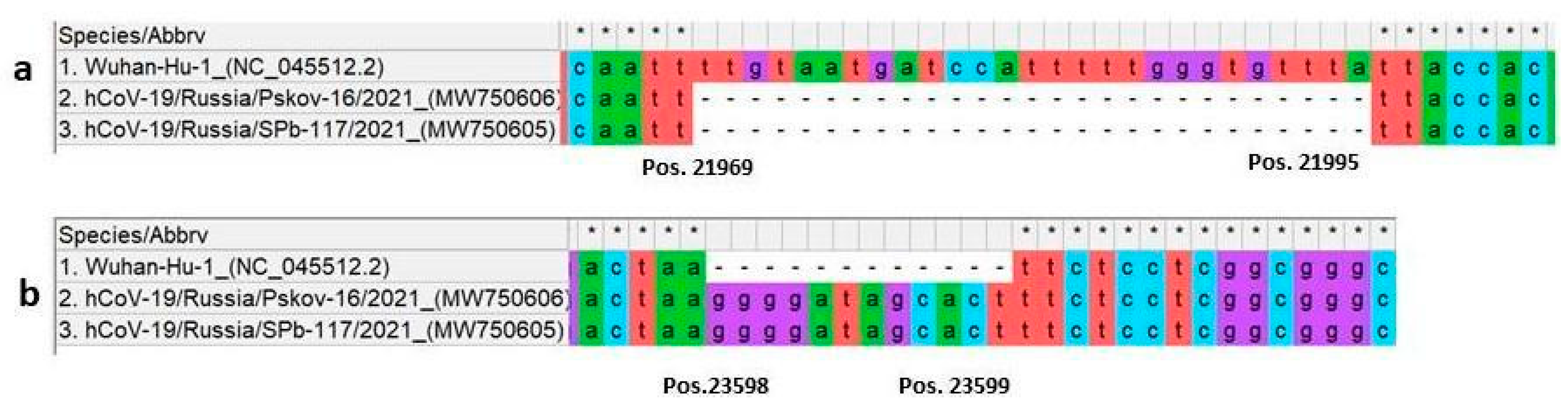 Viruses 13 01029 g002