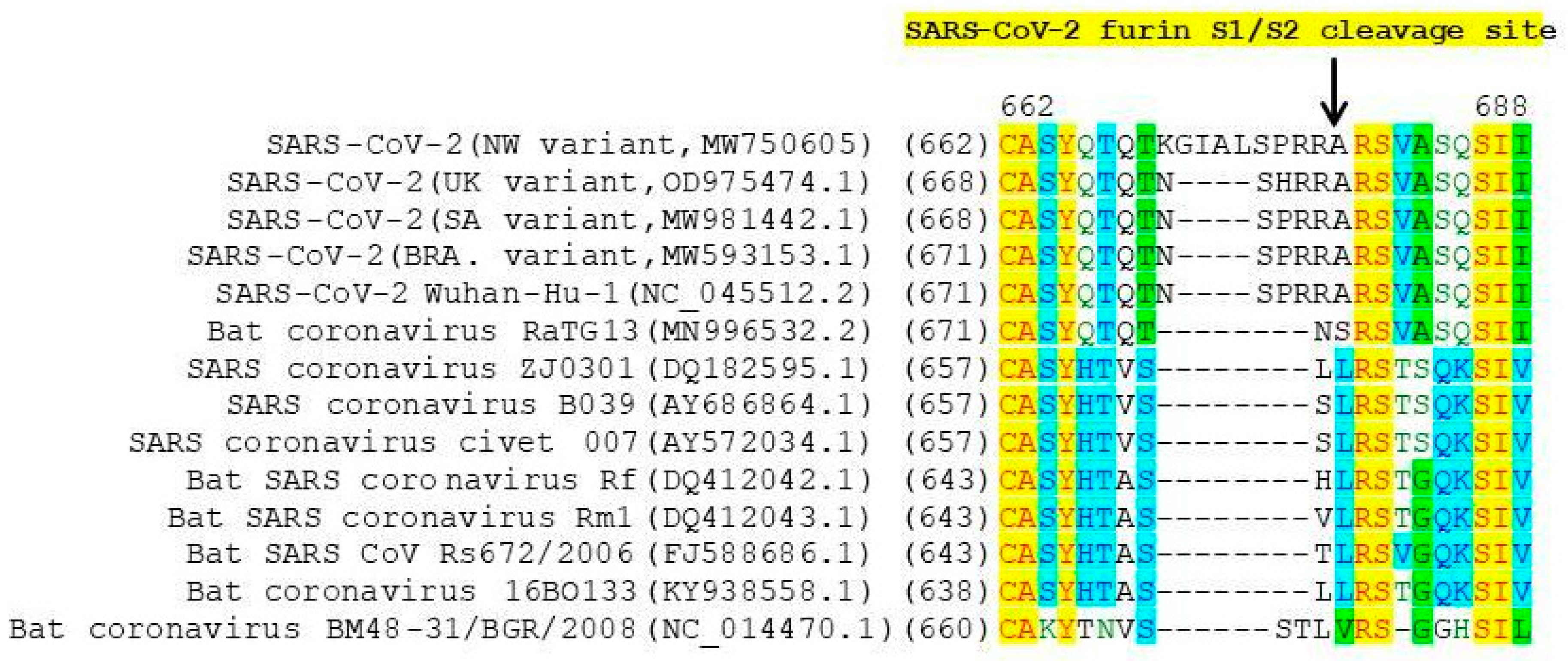 Viruses 13 01029 g004