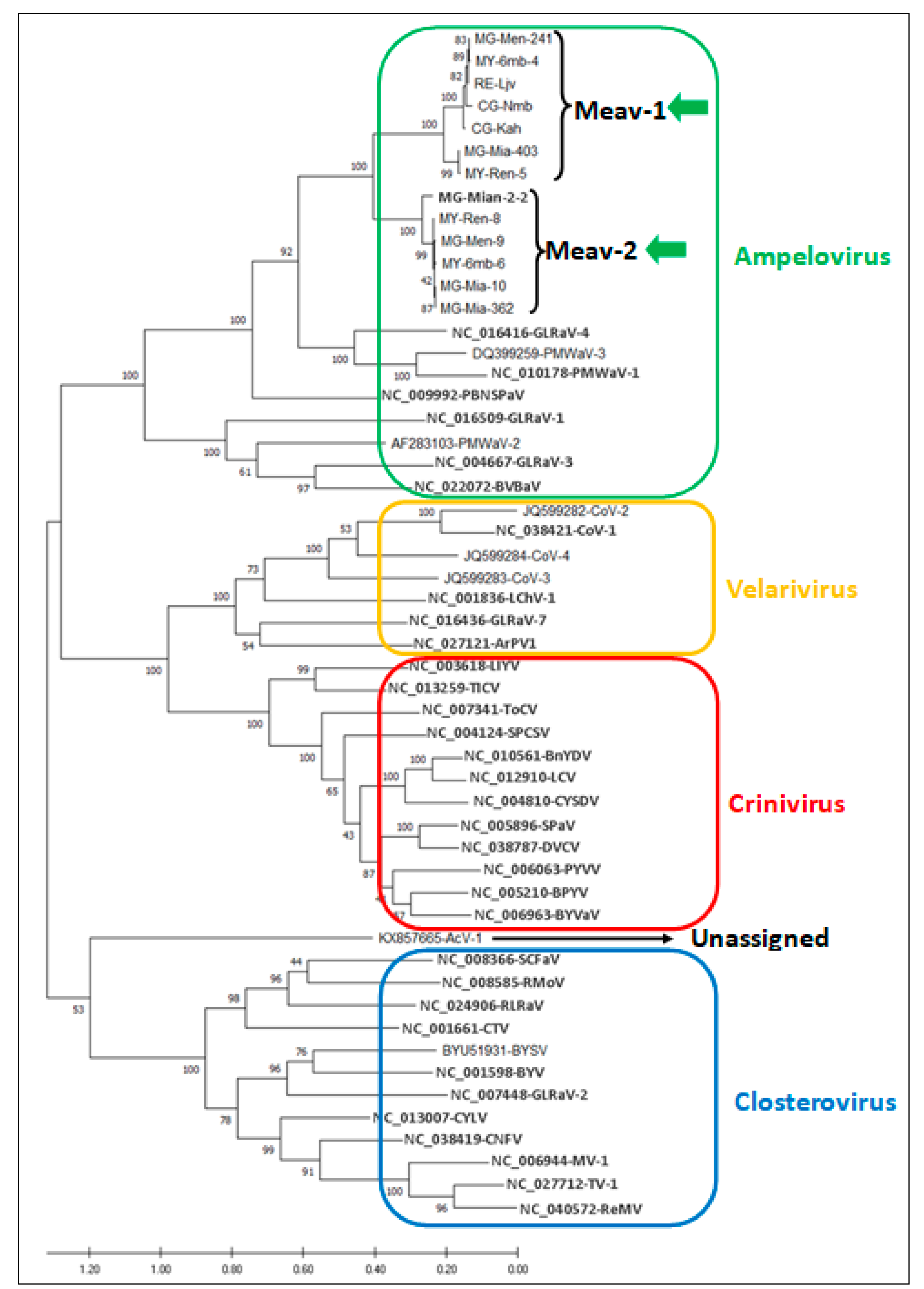 Viruses 13 01030 g002 Viruses 13 01030 g002