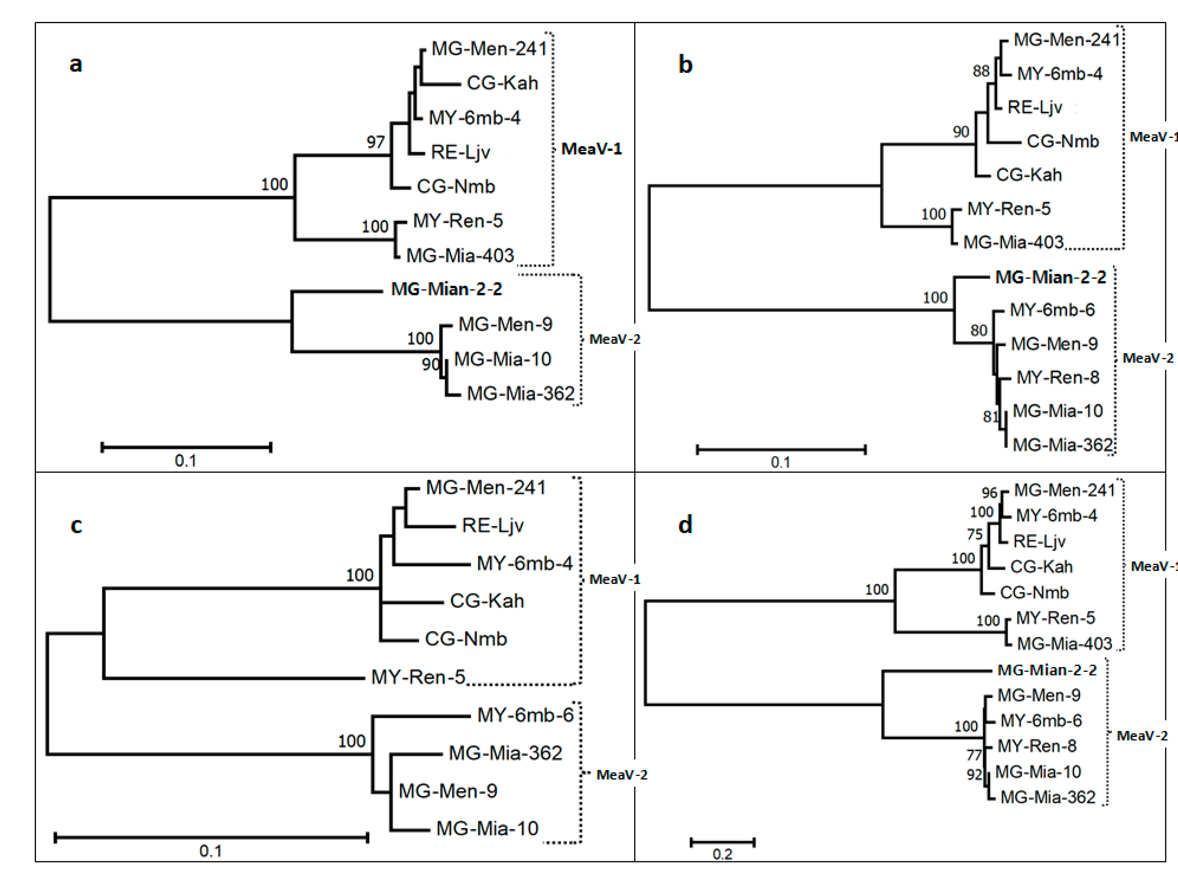 Viruses 13 01030 g003 Viruses 13 01030 g003