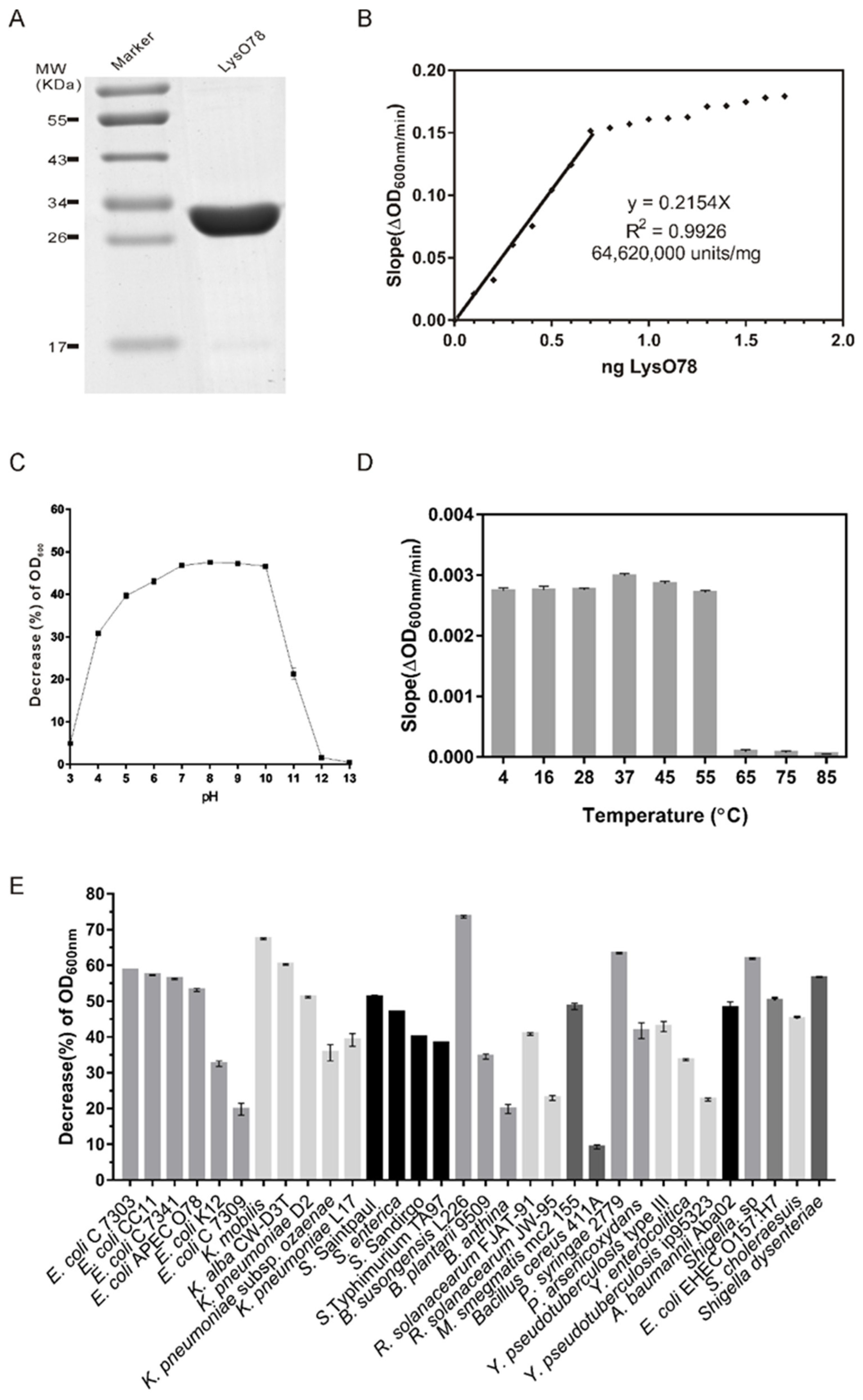 Viruses 13 01034 g006 Viruses 13 01034 g006