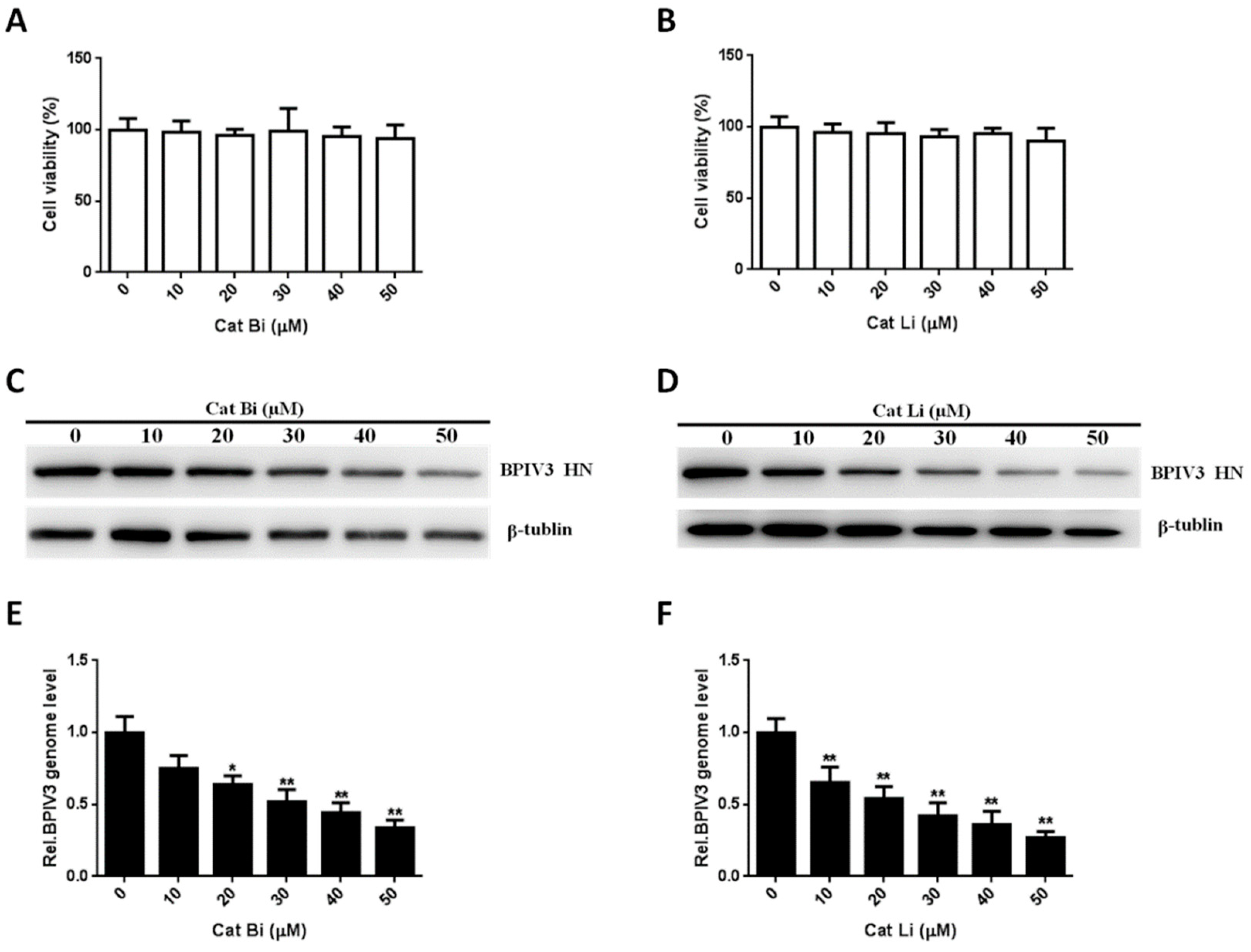 Viruses 13 01035 g008