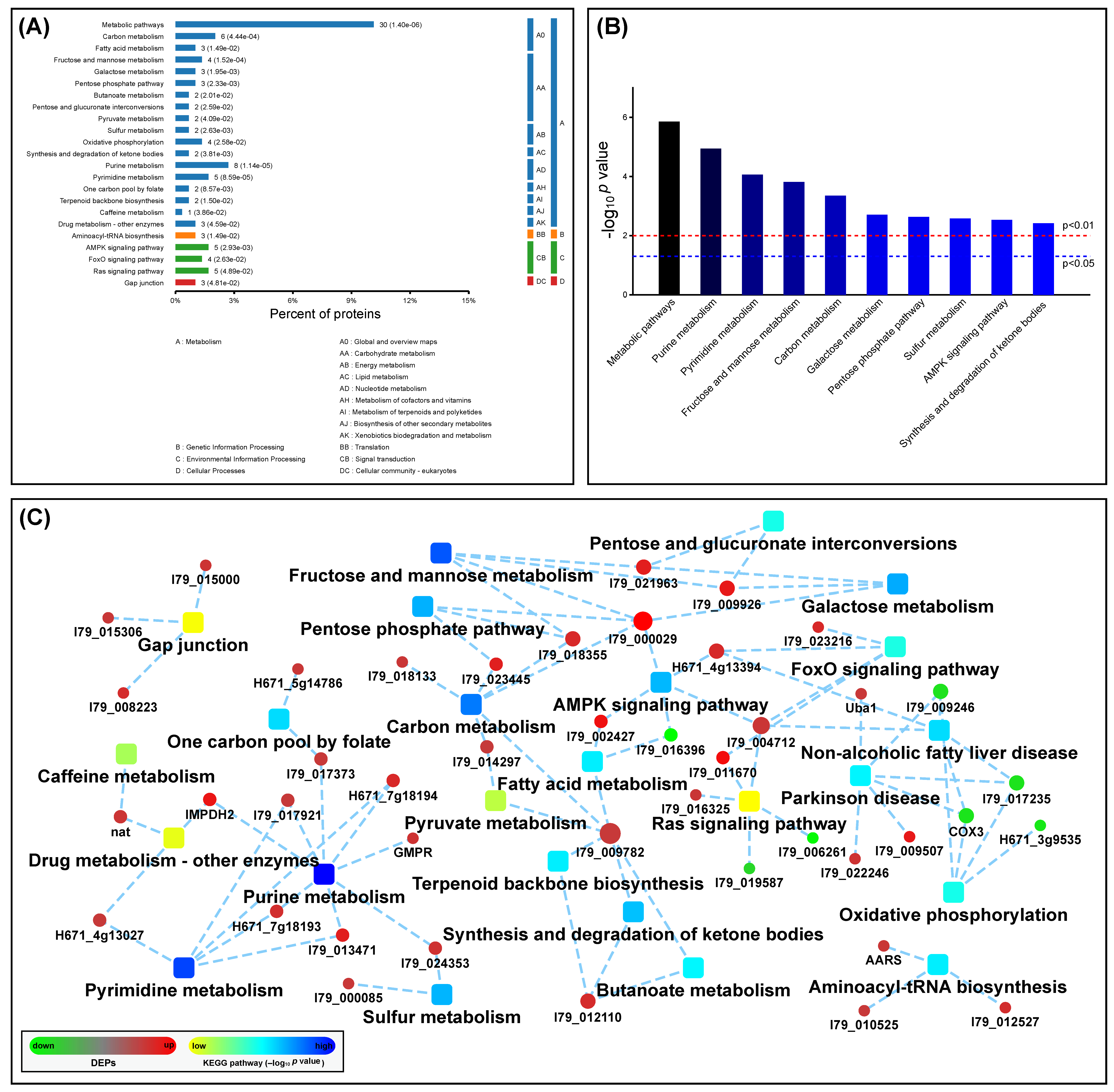 Viruses 13 01036 g005 Viruses 13 01036 g005