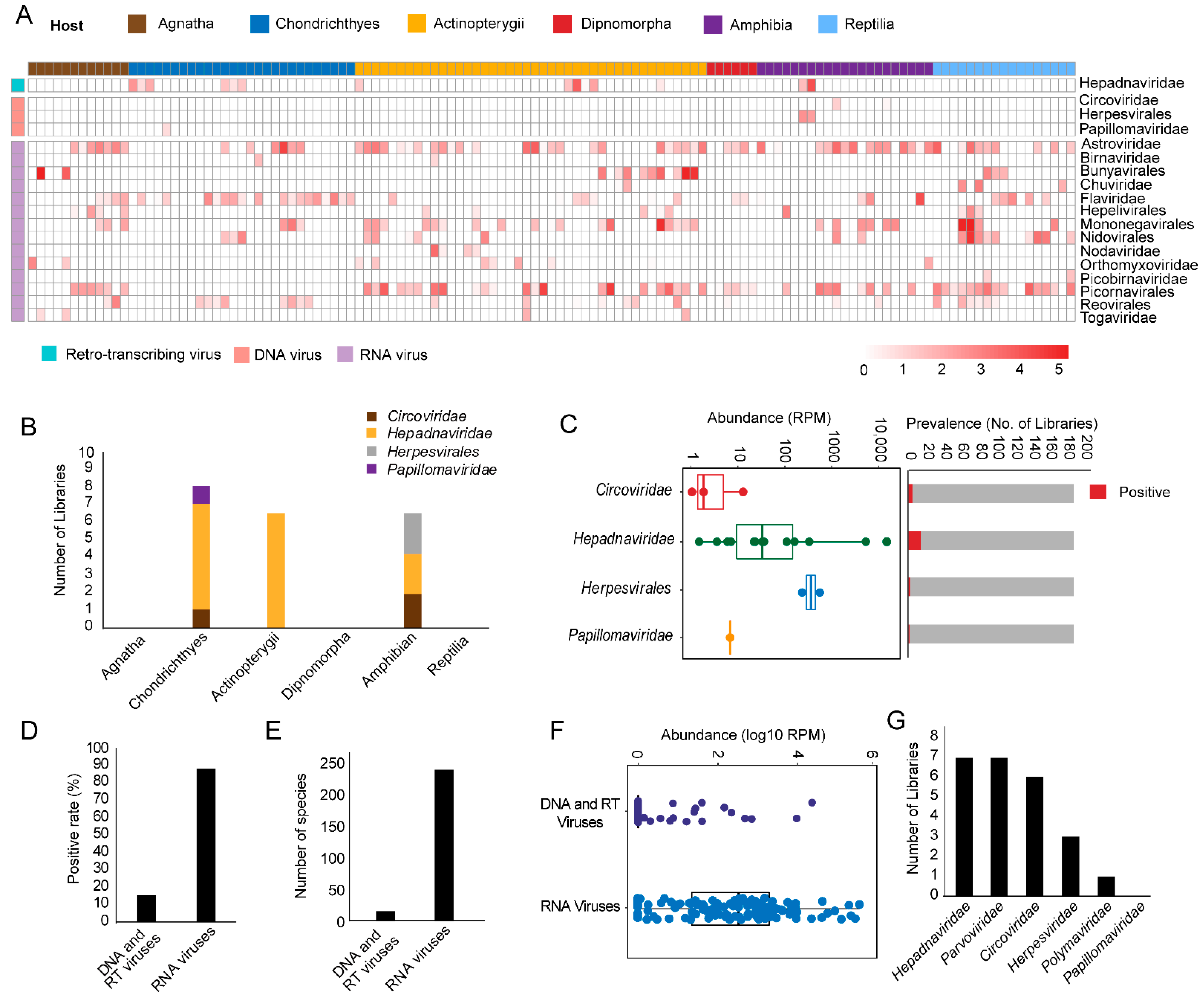 Viruses 13 01042 g001 Viruses 13 01042 g001