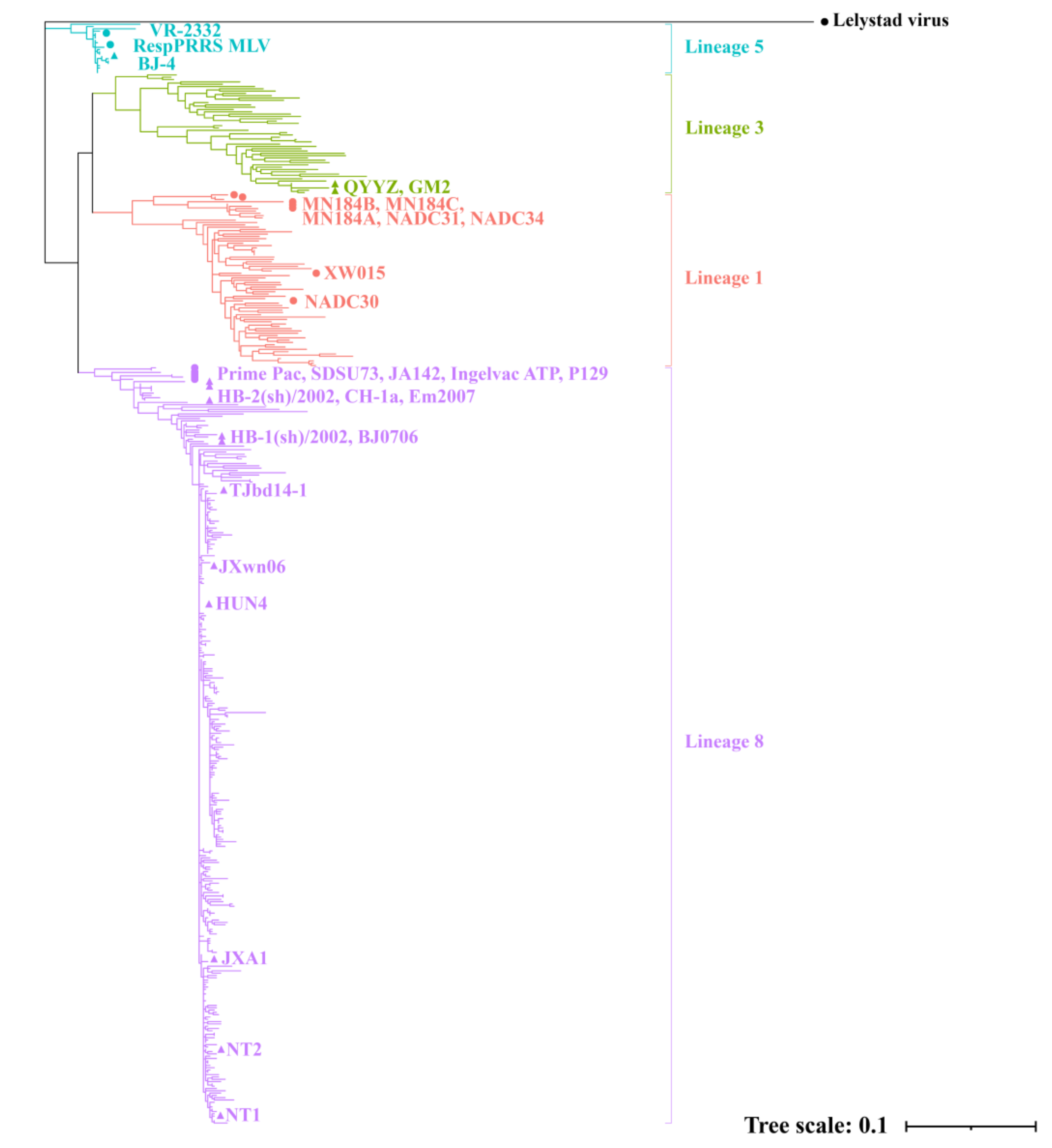 Viruses 13 01044 g001 Viruses 13 01044 g001