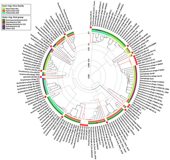 The Potential of Phage Therapy against the Emerging