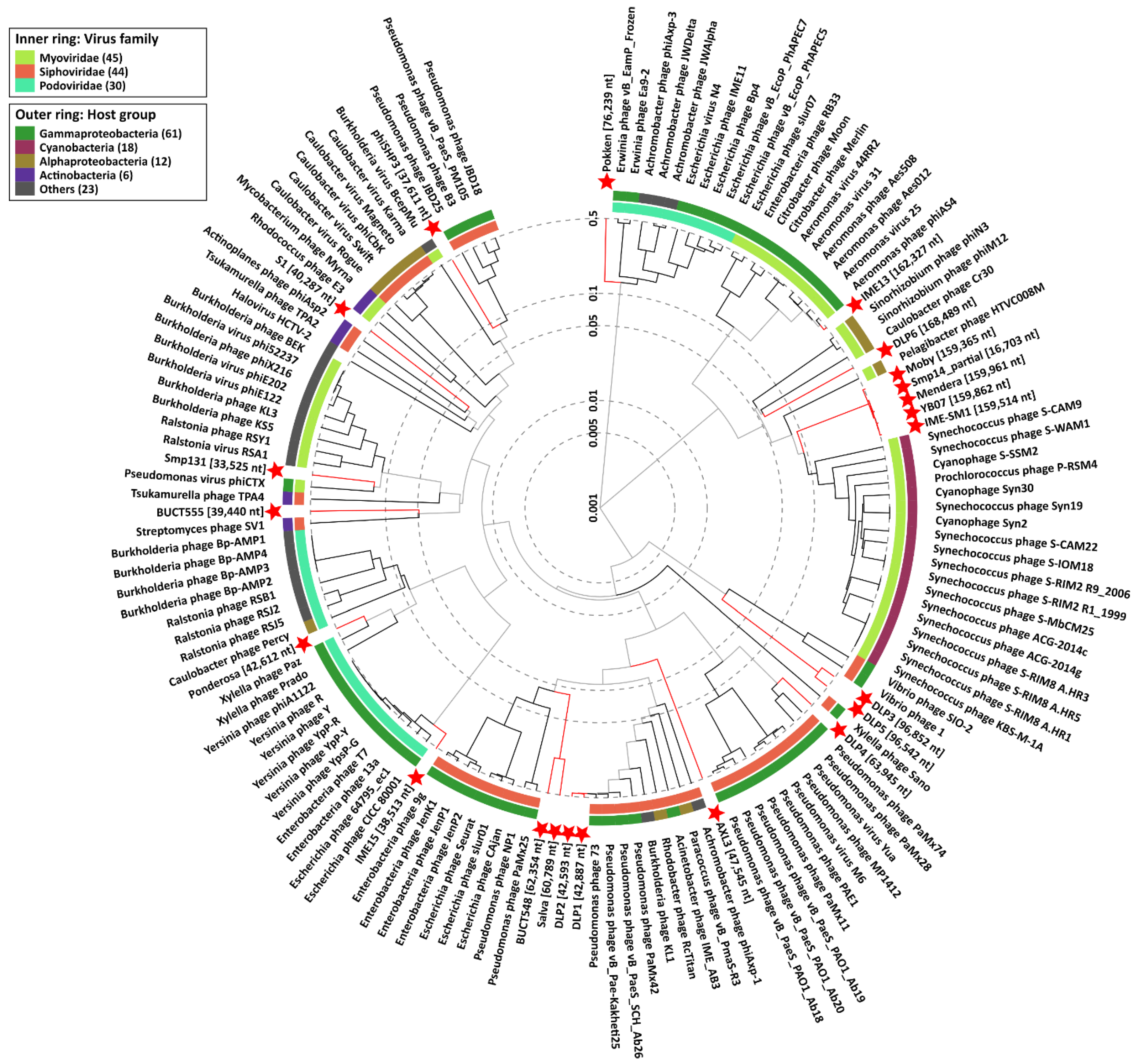 Viruses 13 01057 g004 Viruses 13 01057 g004