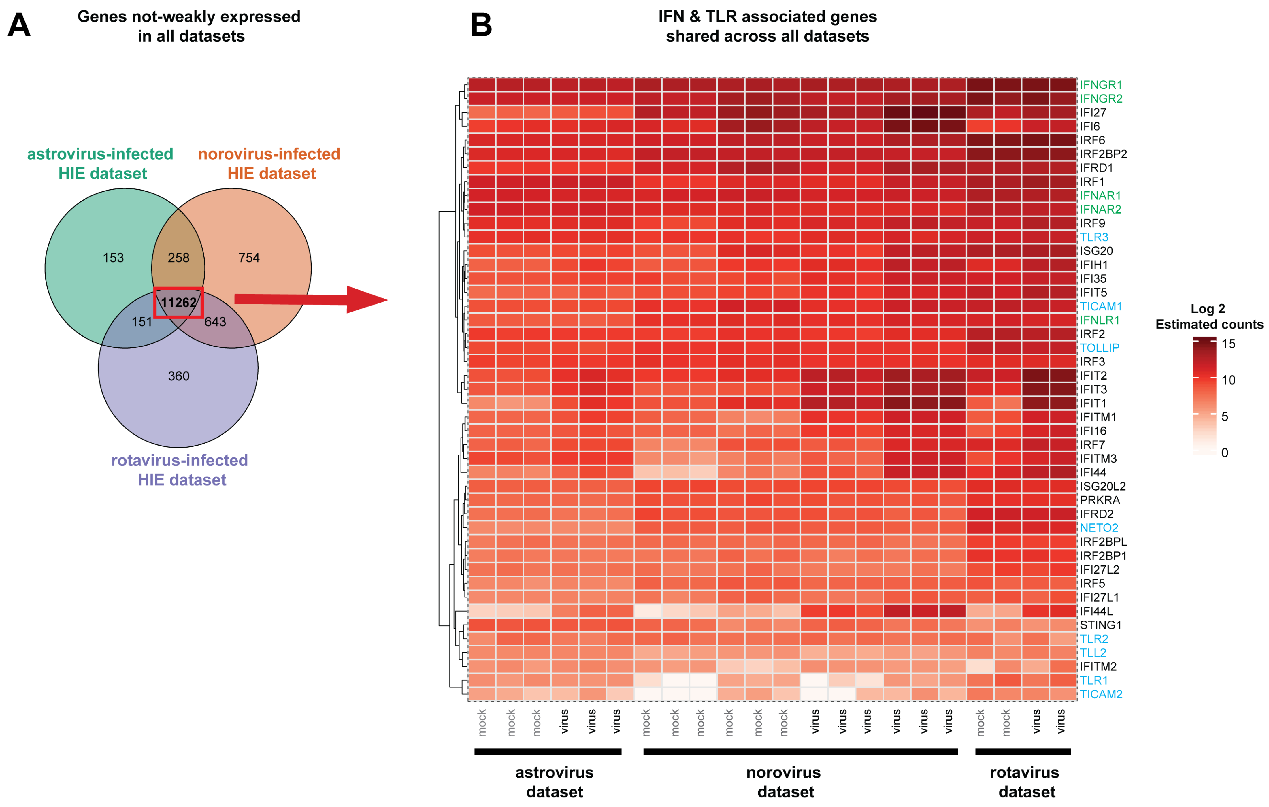 Viruses 13 01059 g002 Viruses 13 01059 g002