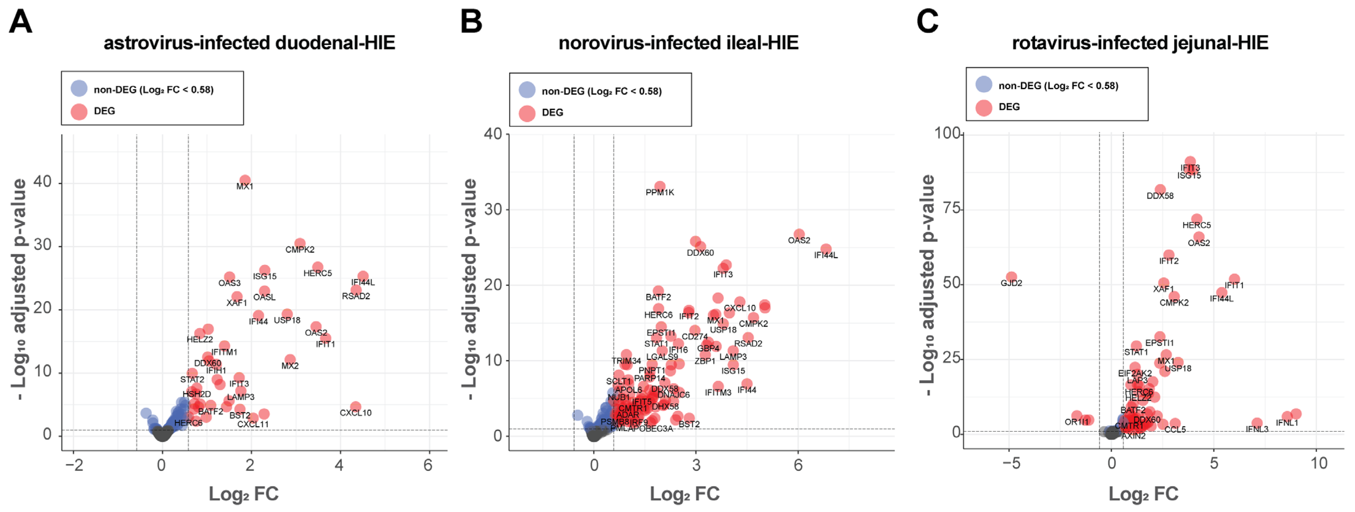 Viruses 13 01059 g003 Viruses 13 01059 g003